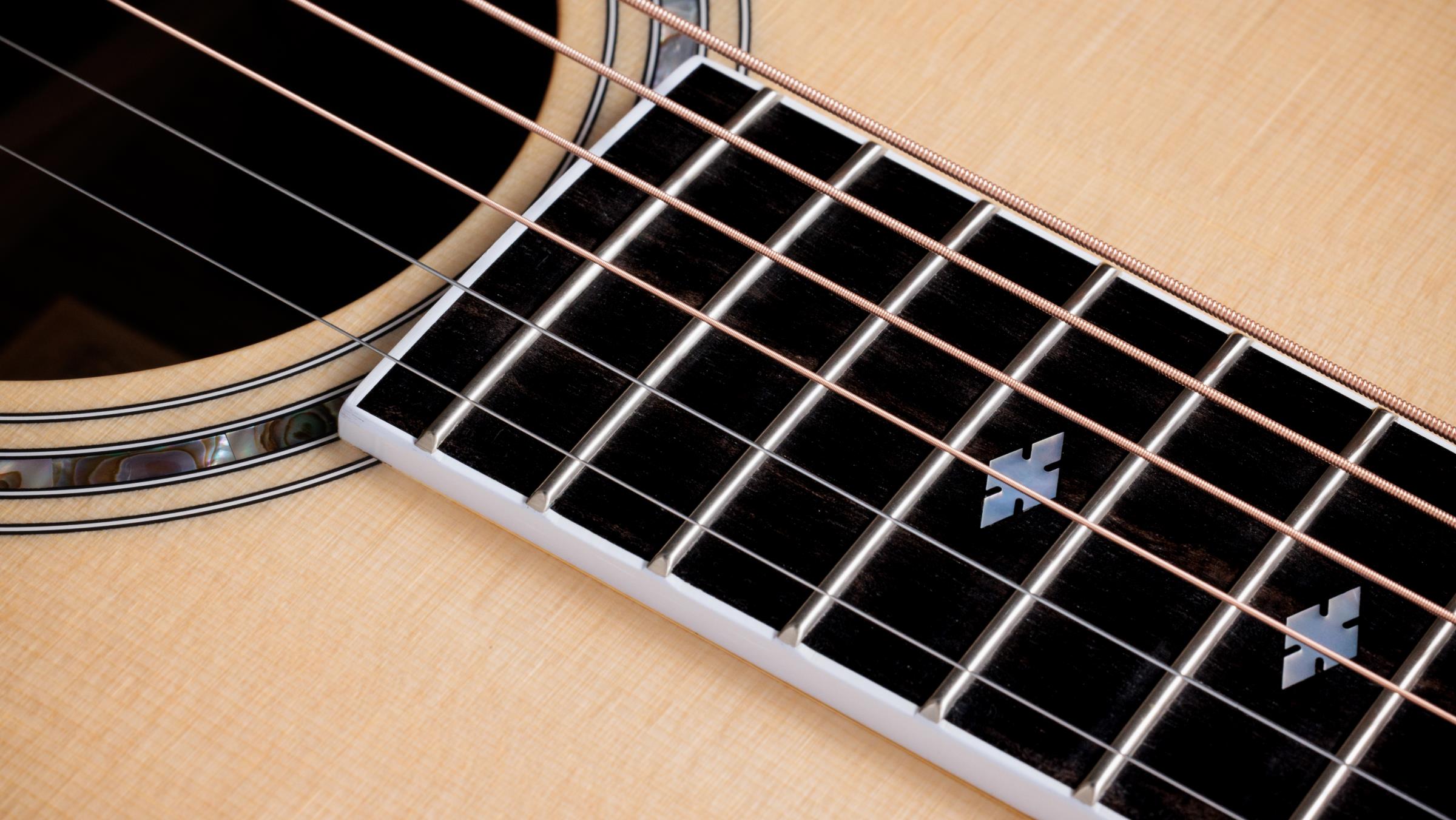 TAYLOR Legacy 815e