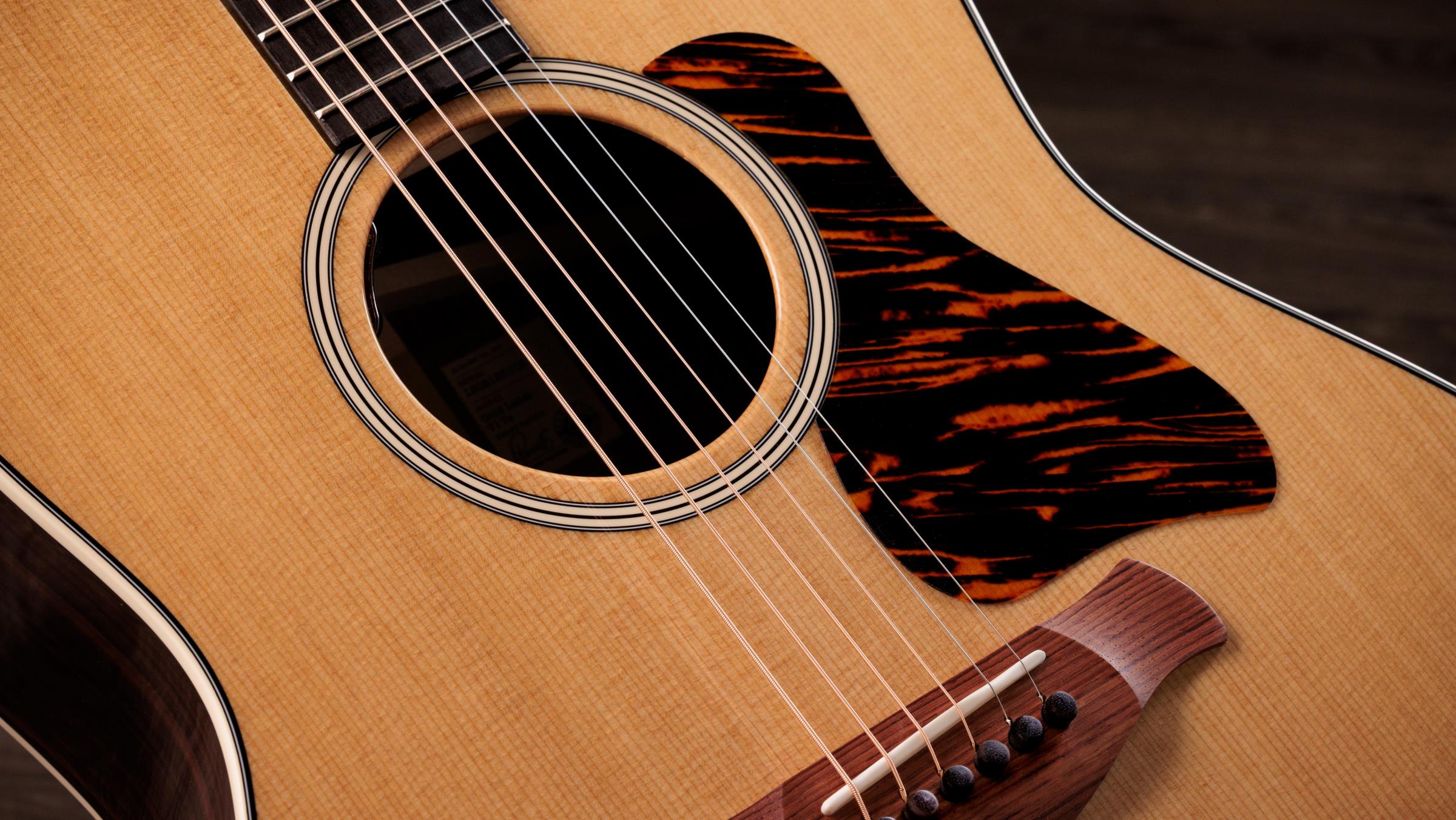 TAYLOR Gold Label 717e TAYLOR Gold Label 717e