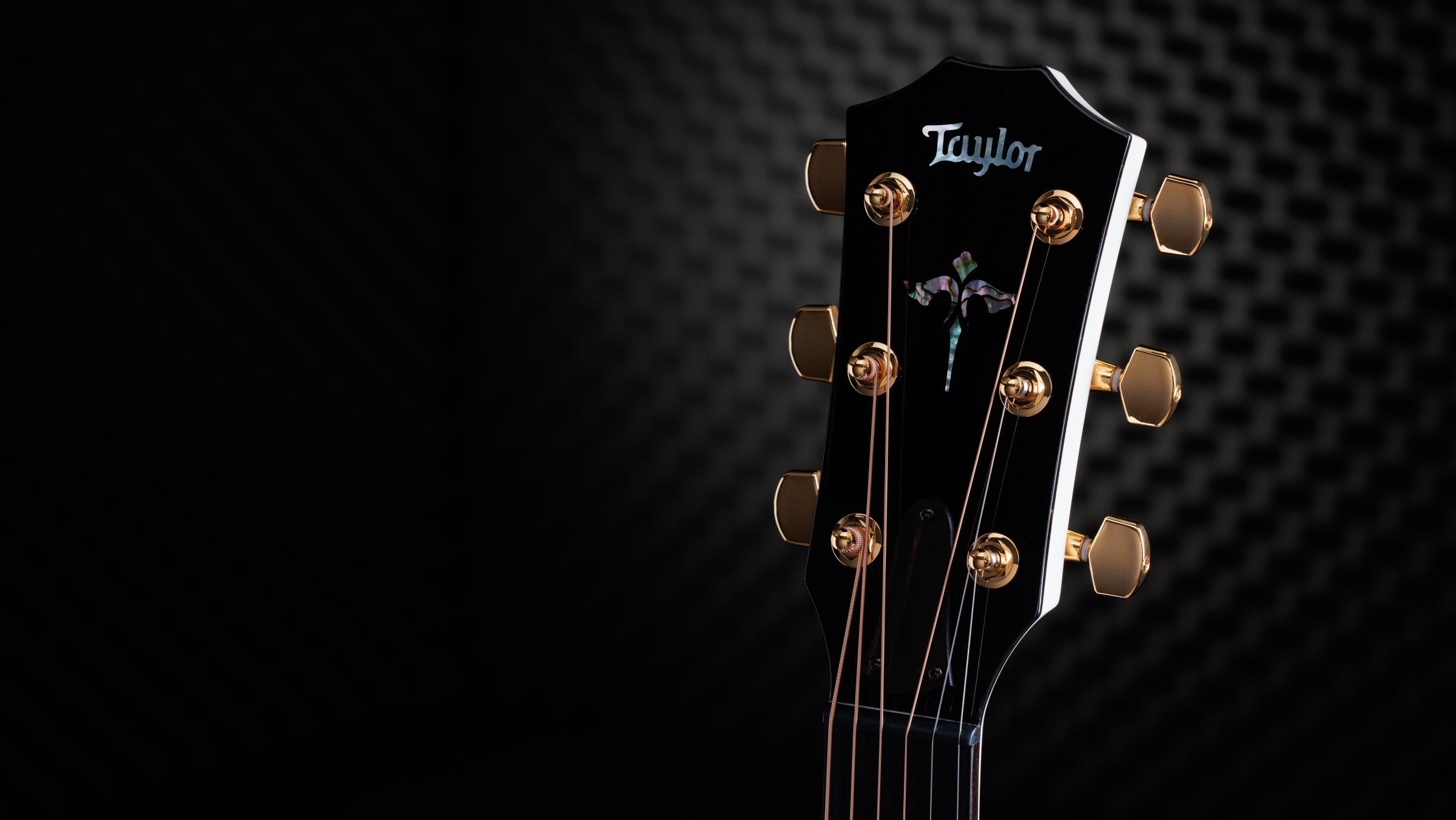 TAYLOR 614ce LTD, 50th Anniversary