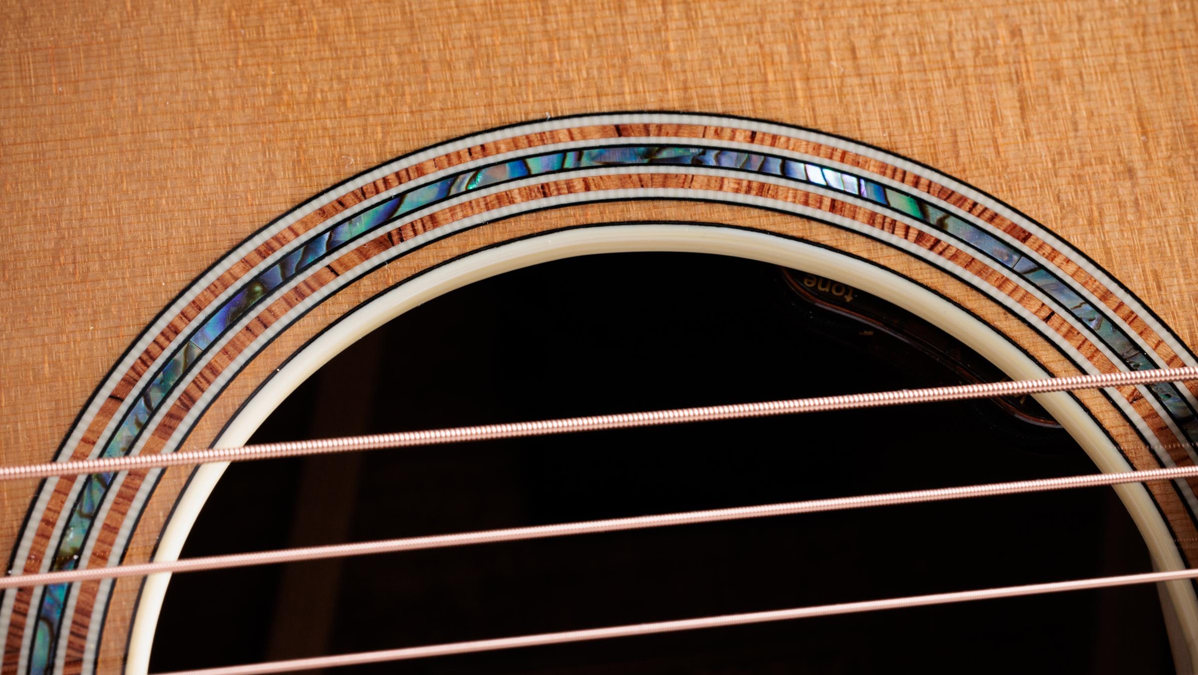 TAYLOR Gold Label 814e Koa TAYLOR Gold Label 814e Koa
