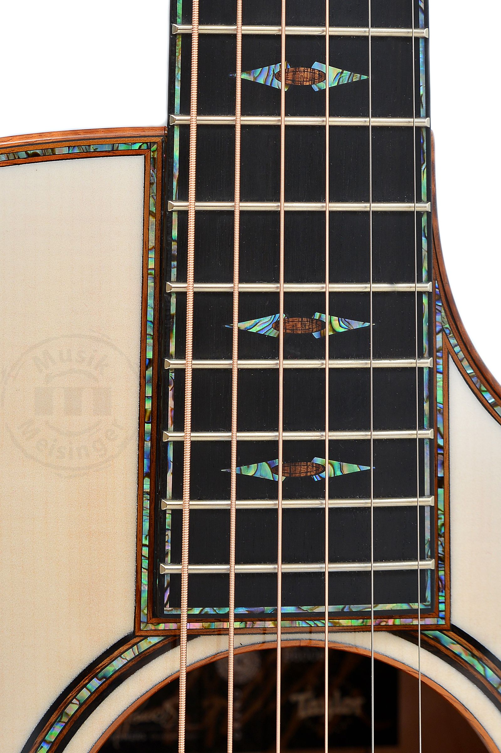 TAYLOR Custom GC 12-Fret,Catch Custom#6