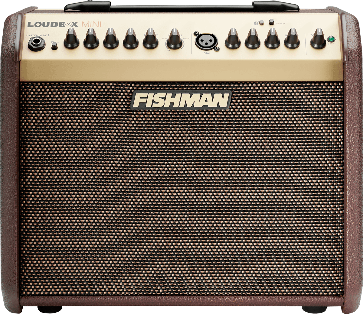 FISHMAN Loudbox Mini with Bluetooth