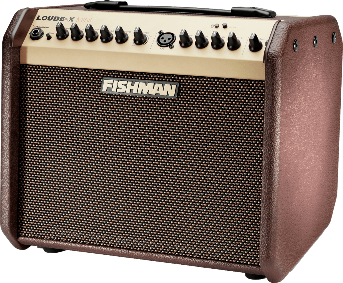 FISHMAN Loudbox Mini with Bluetooth