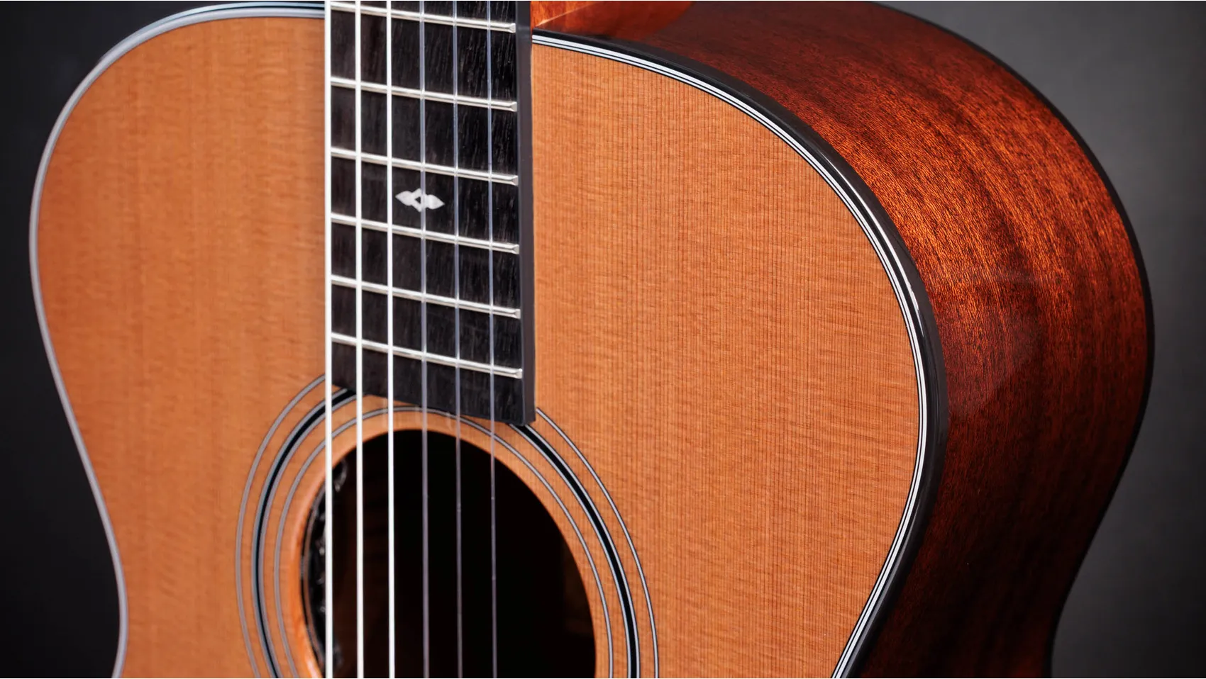 TAYLOR Sunset Blvd 312e-N,Sapele/Cedar