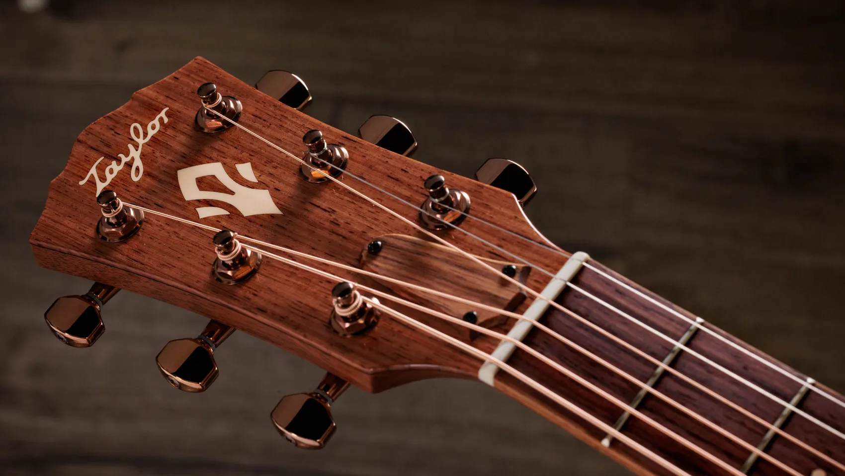 TAYLOR Ben Harper Gold Label 512e