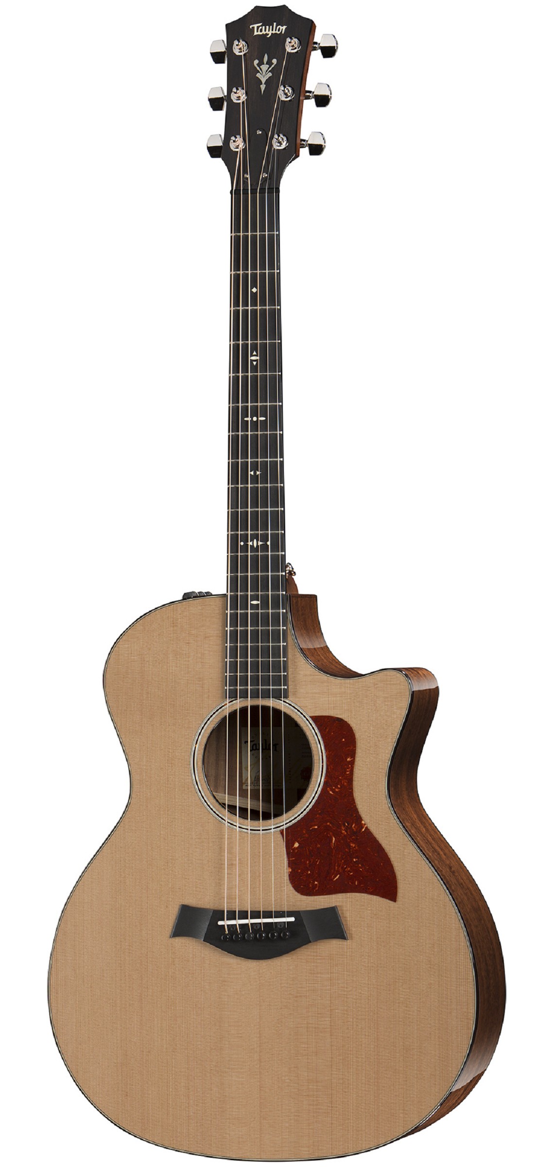 TAYLOR 514ce V-Class, Cedar