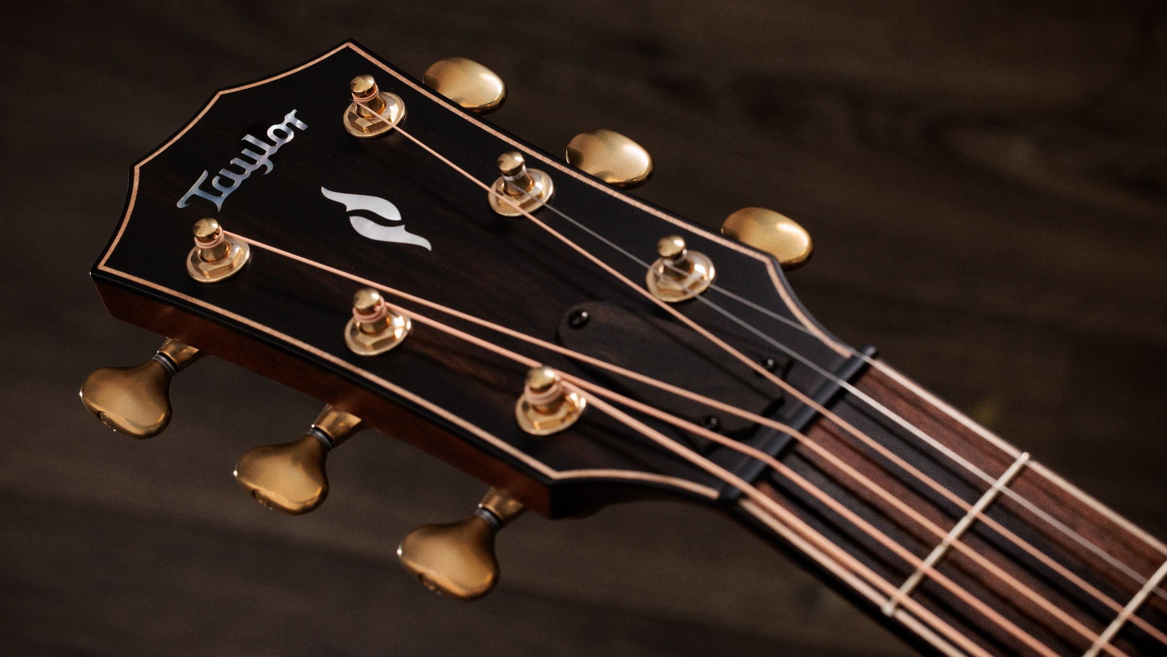 TAYLOR Builder's Edition 814ce,RW/Adirondack,2026