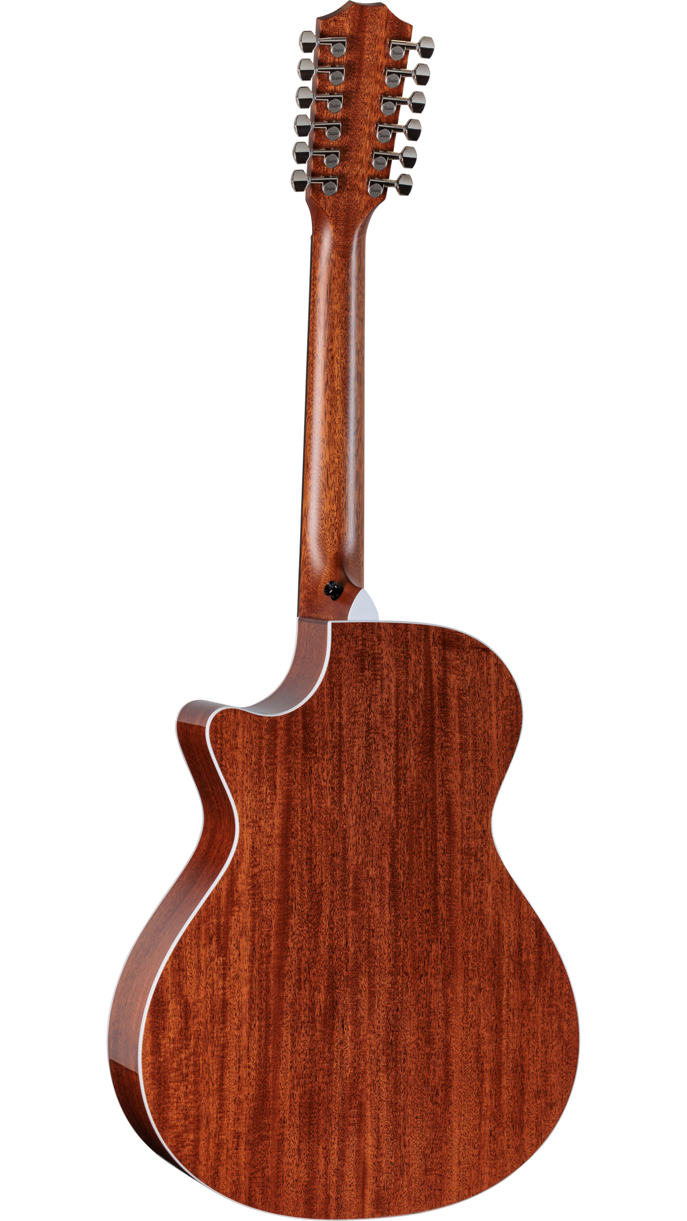 TAYLOR 552ce 12-Fret 12 String Next Generation