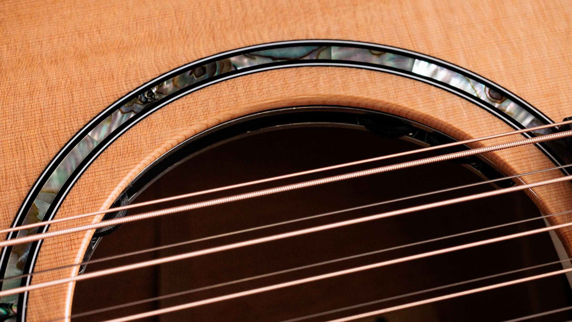 TAYLOR 552ce 12-Fret 12 String Next Generation
