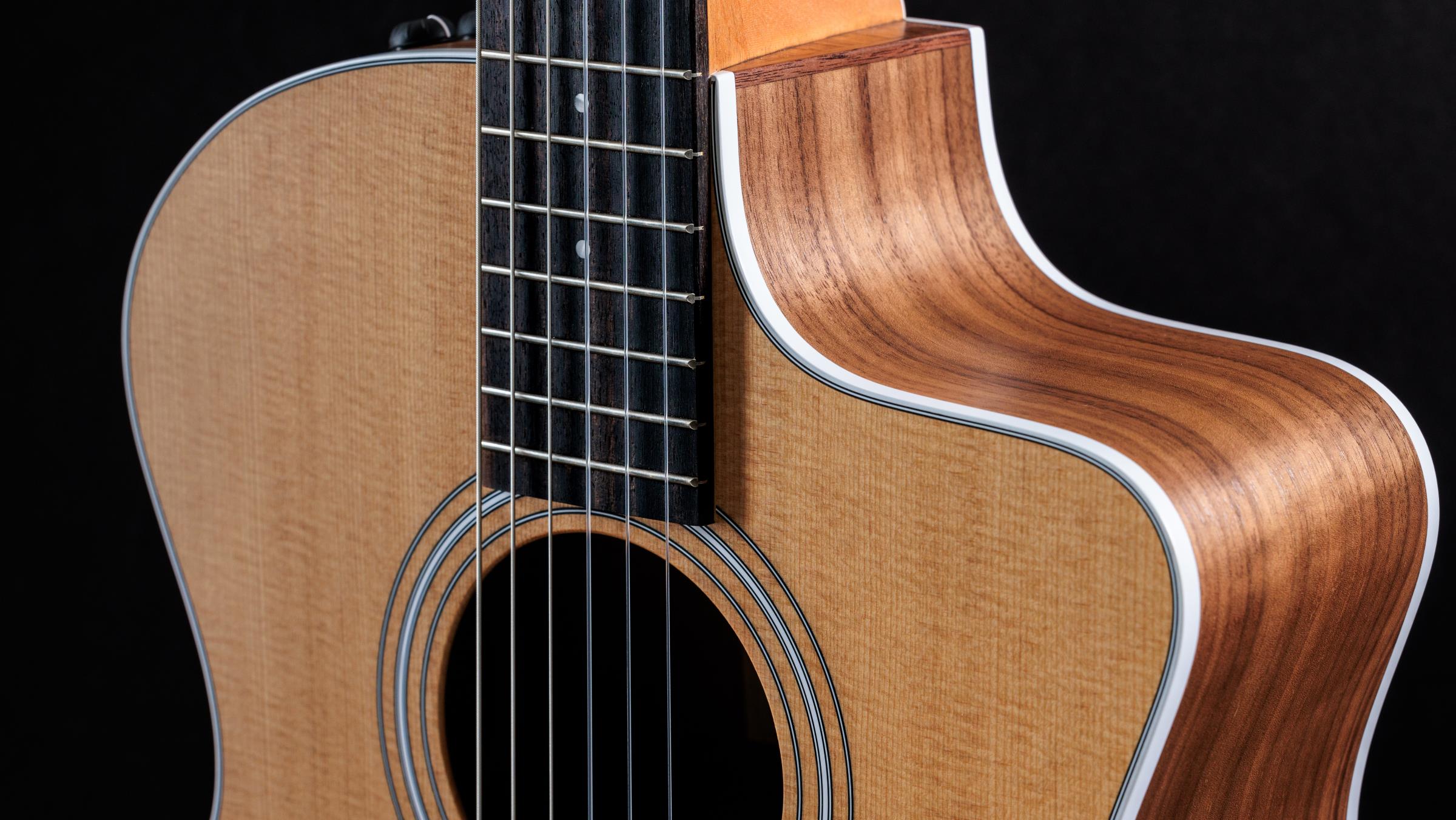 TAYLOR 214ce-N TAYLOR 214ce-N