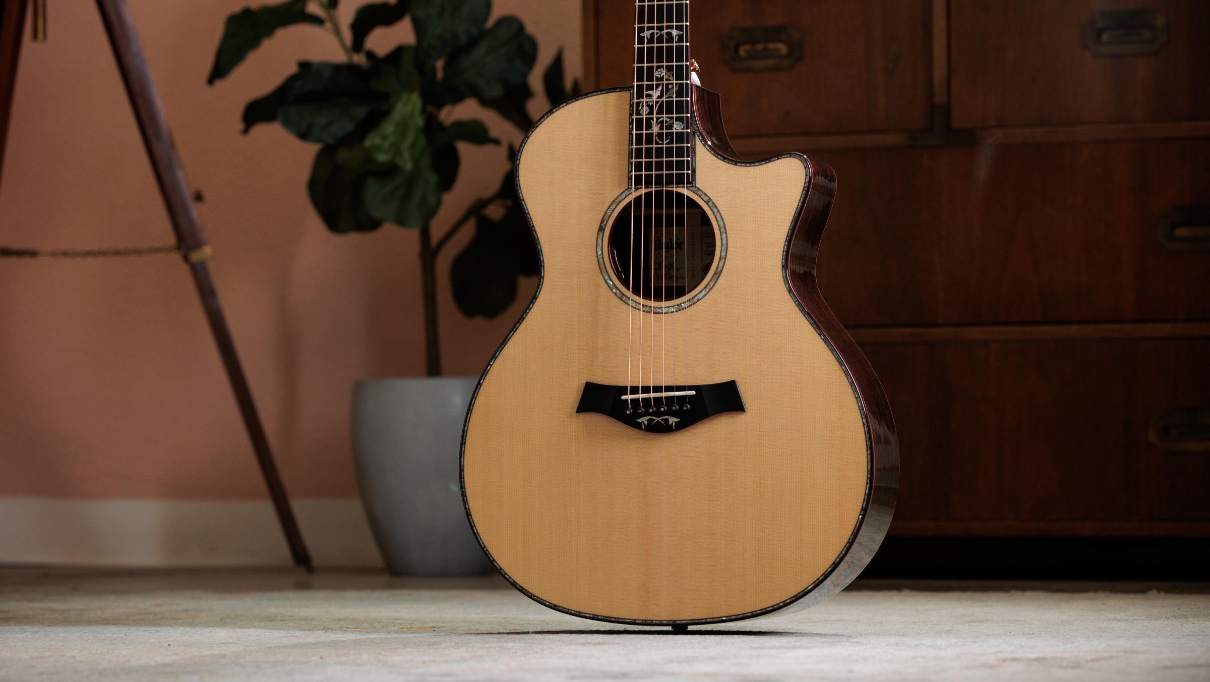 TAYLOR Legacy 914ce TAYLOR Legacy 914ce