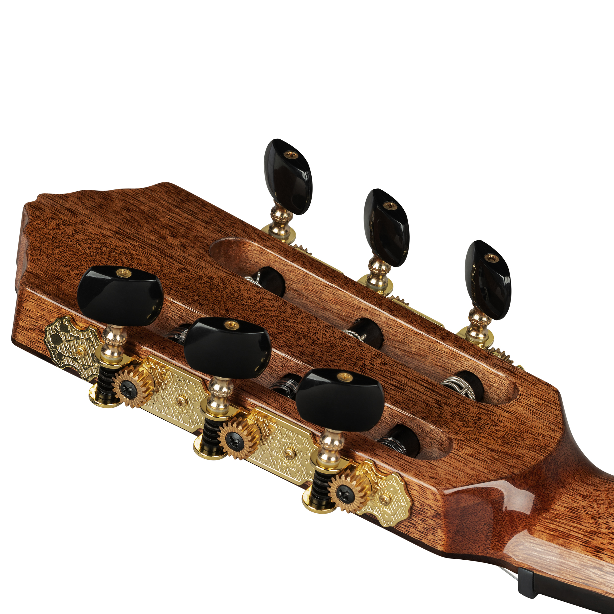 ORTEGA GRANDSUITE