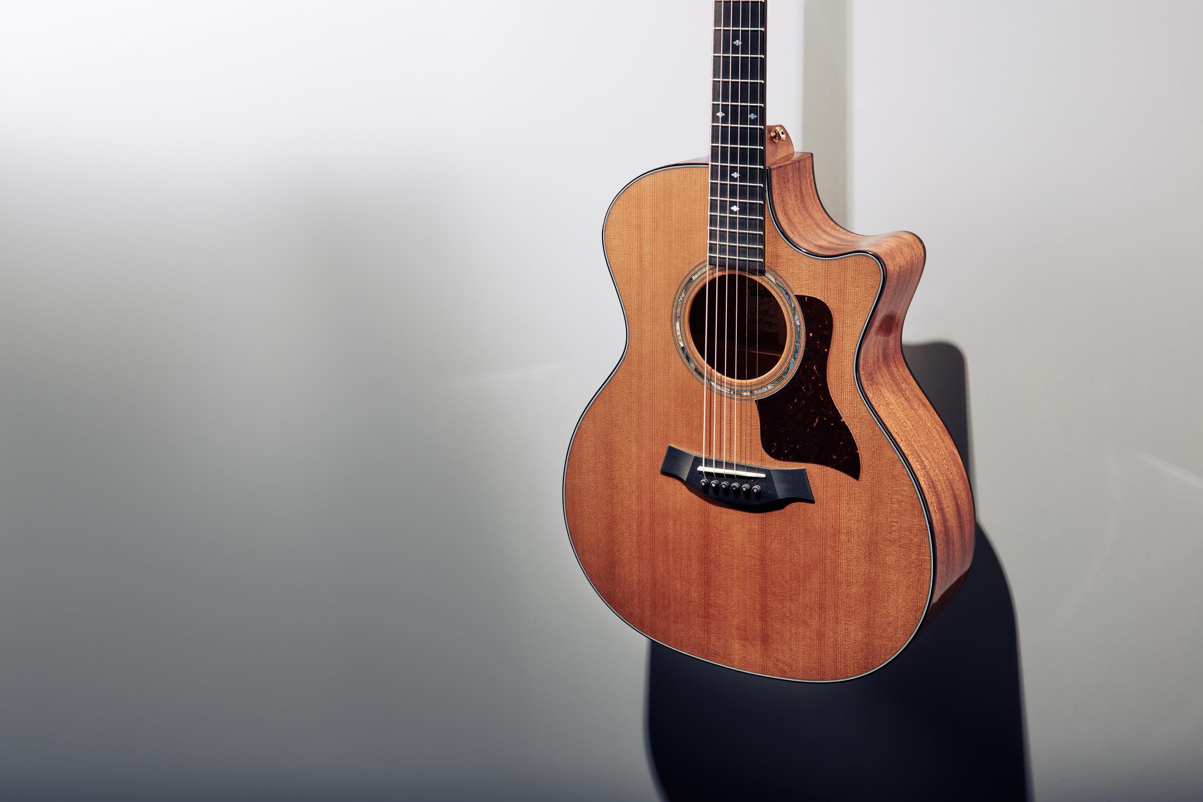 TAYLOR Legacy 514ce