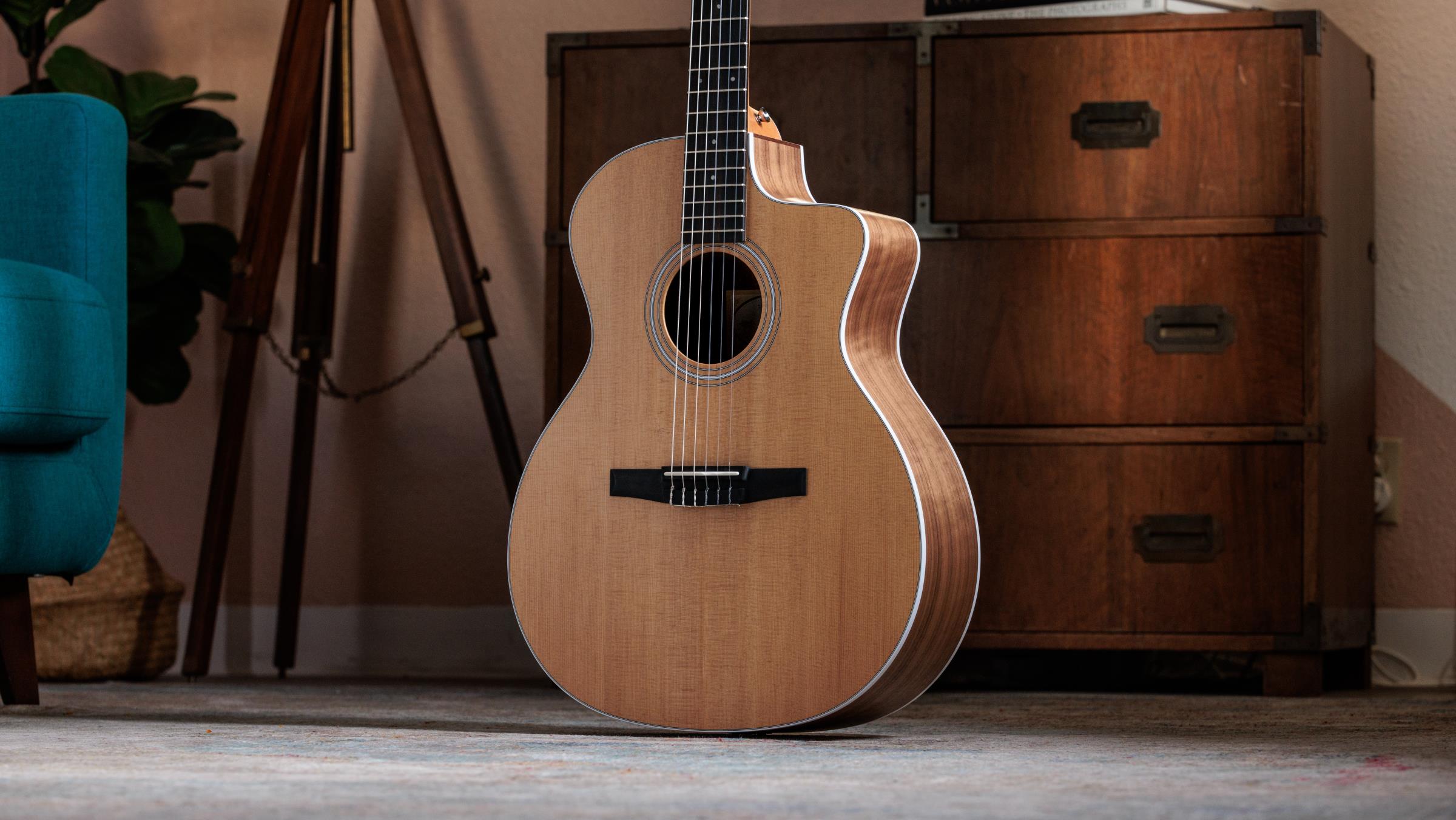 TAYLOR 214ce-N TAYLOR 214ce-N