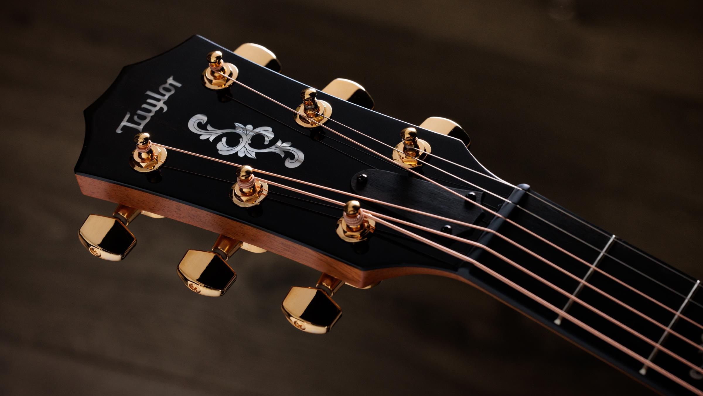 TAYLOR 414ce Special Edition, 50th Anniversary