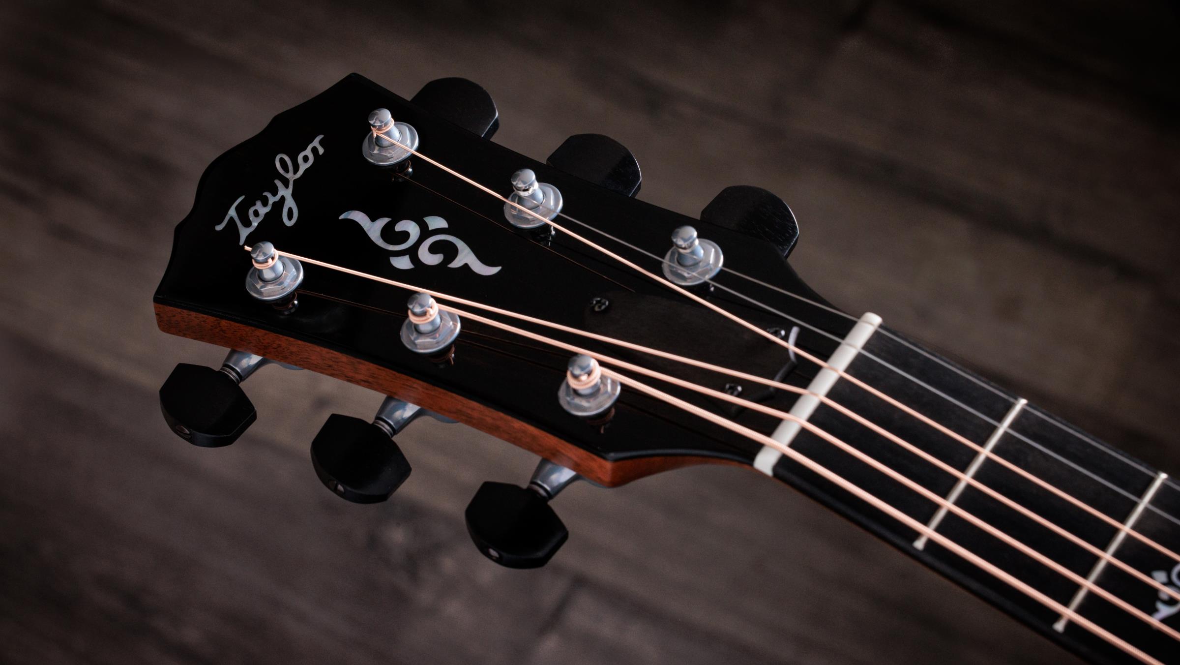 TAYLOR Gold Label 814e Koa TAYLOR Gold Label 814e Koa