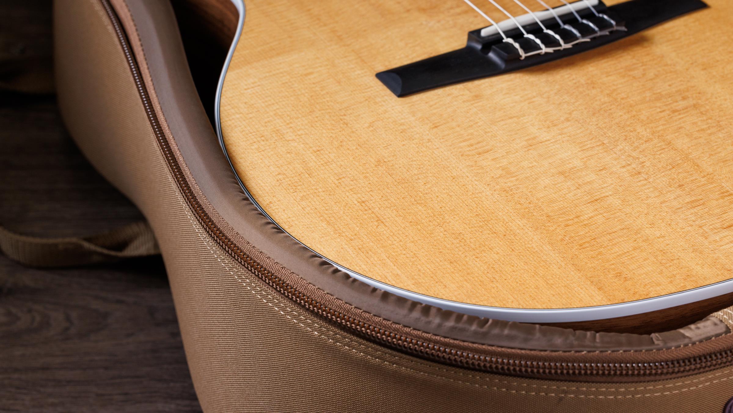 TAYLOR 214ce-N TAYLOR 214ce-N