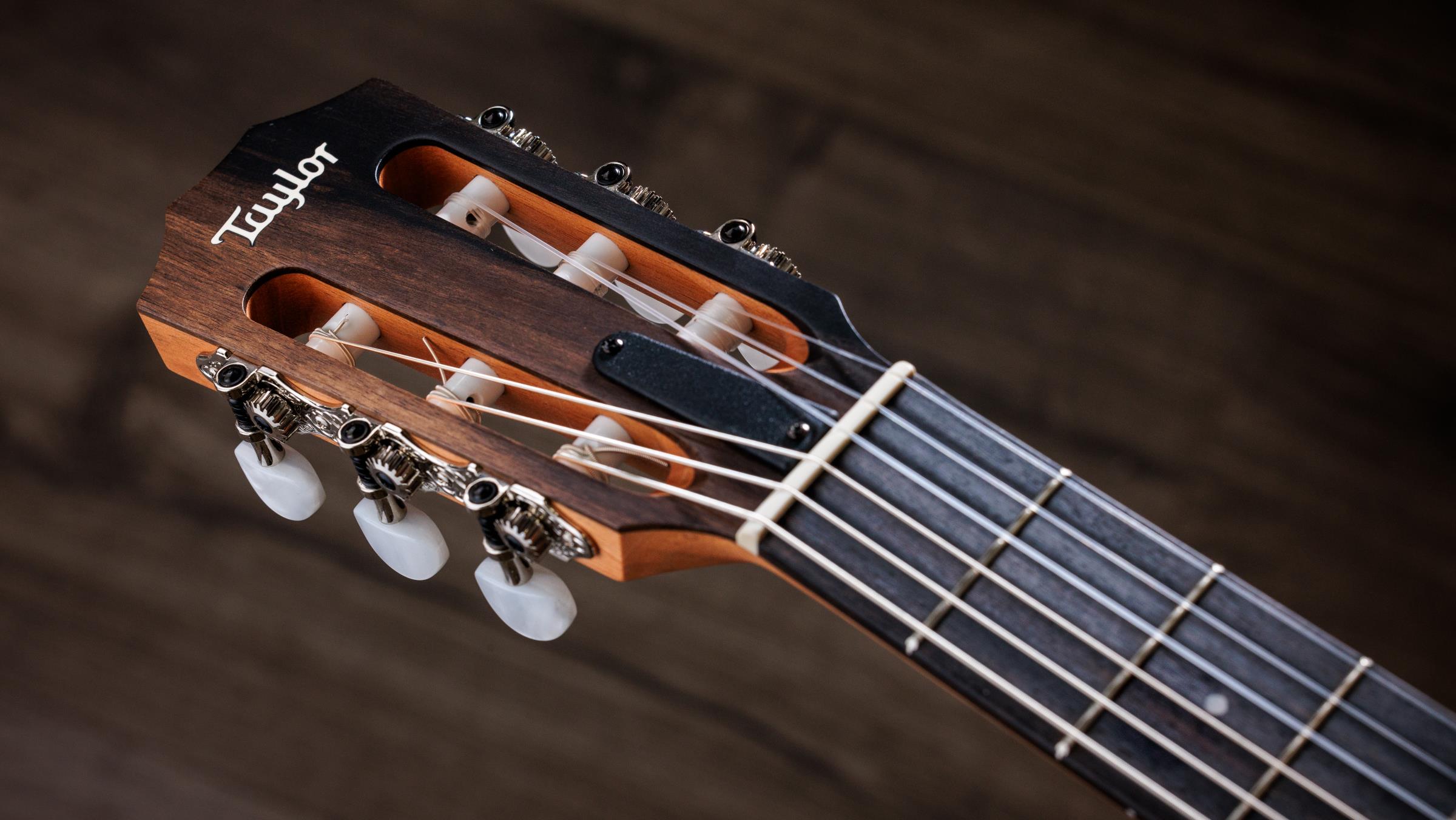 TAYLOR 214ce-N TAYLOR 214ce-N