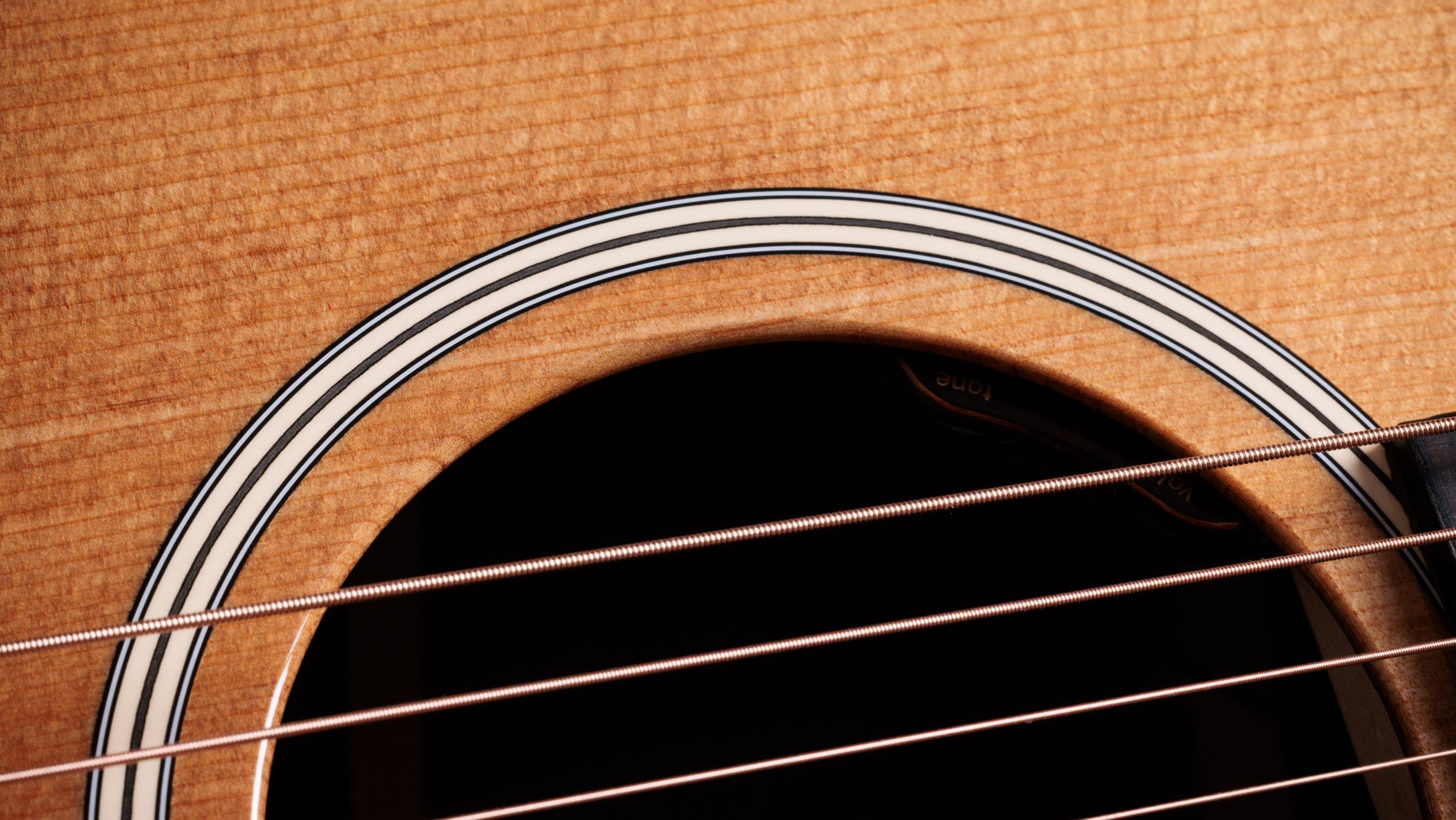 TAYLOR Gold Label 710e