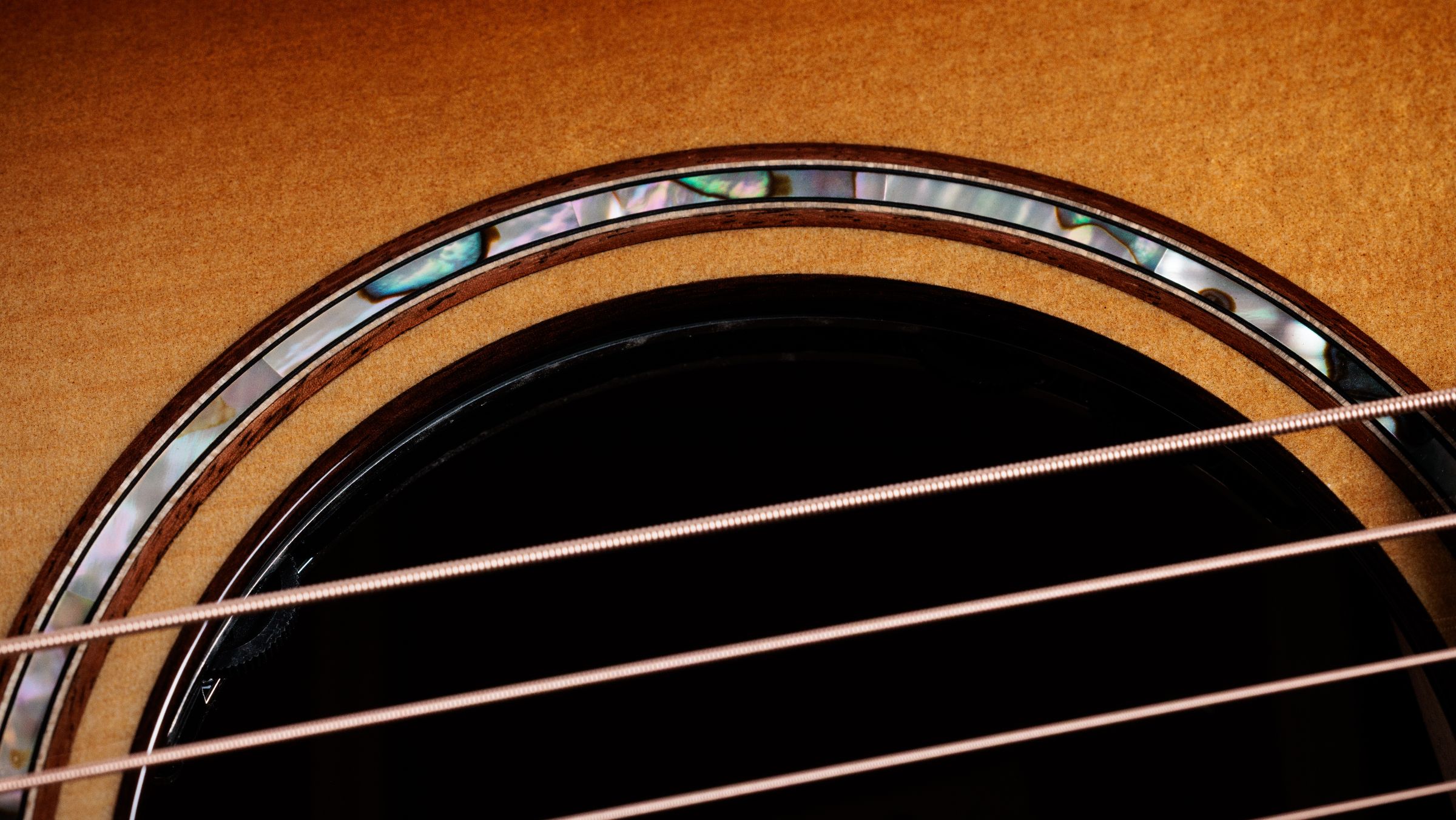 TAYLOR Builder's Edition 814ce Honduran / Adirondack, Next G