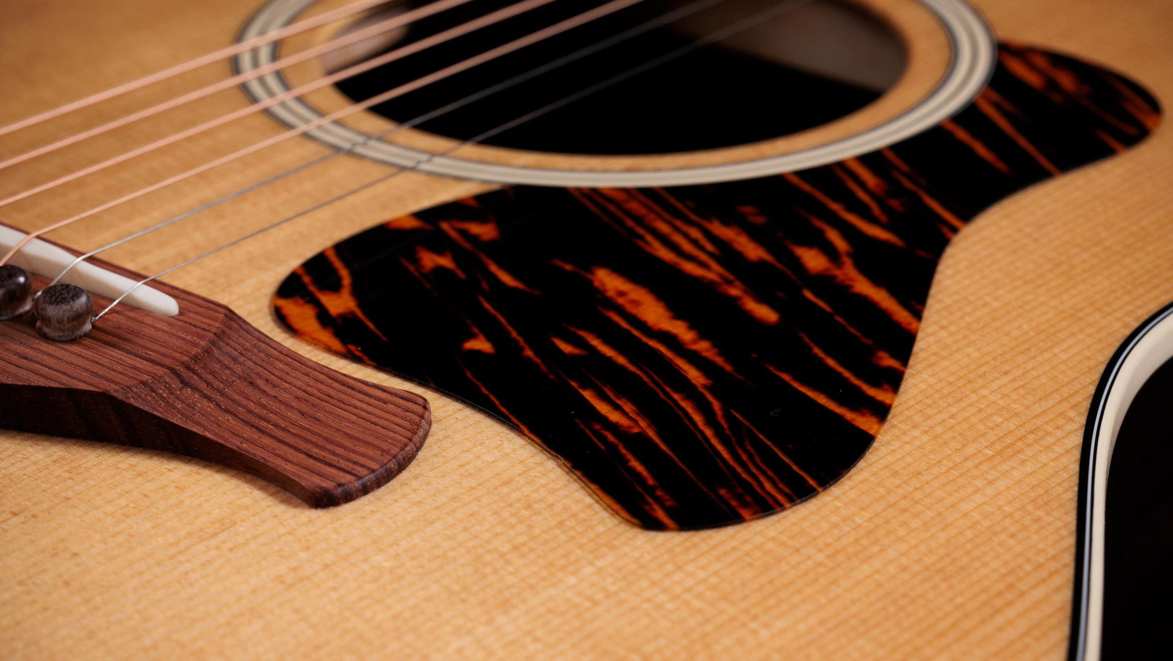 TAYLOR Gold Label 717e TAYLOR Gold Label 717e