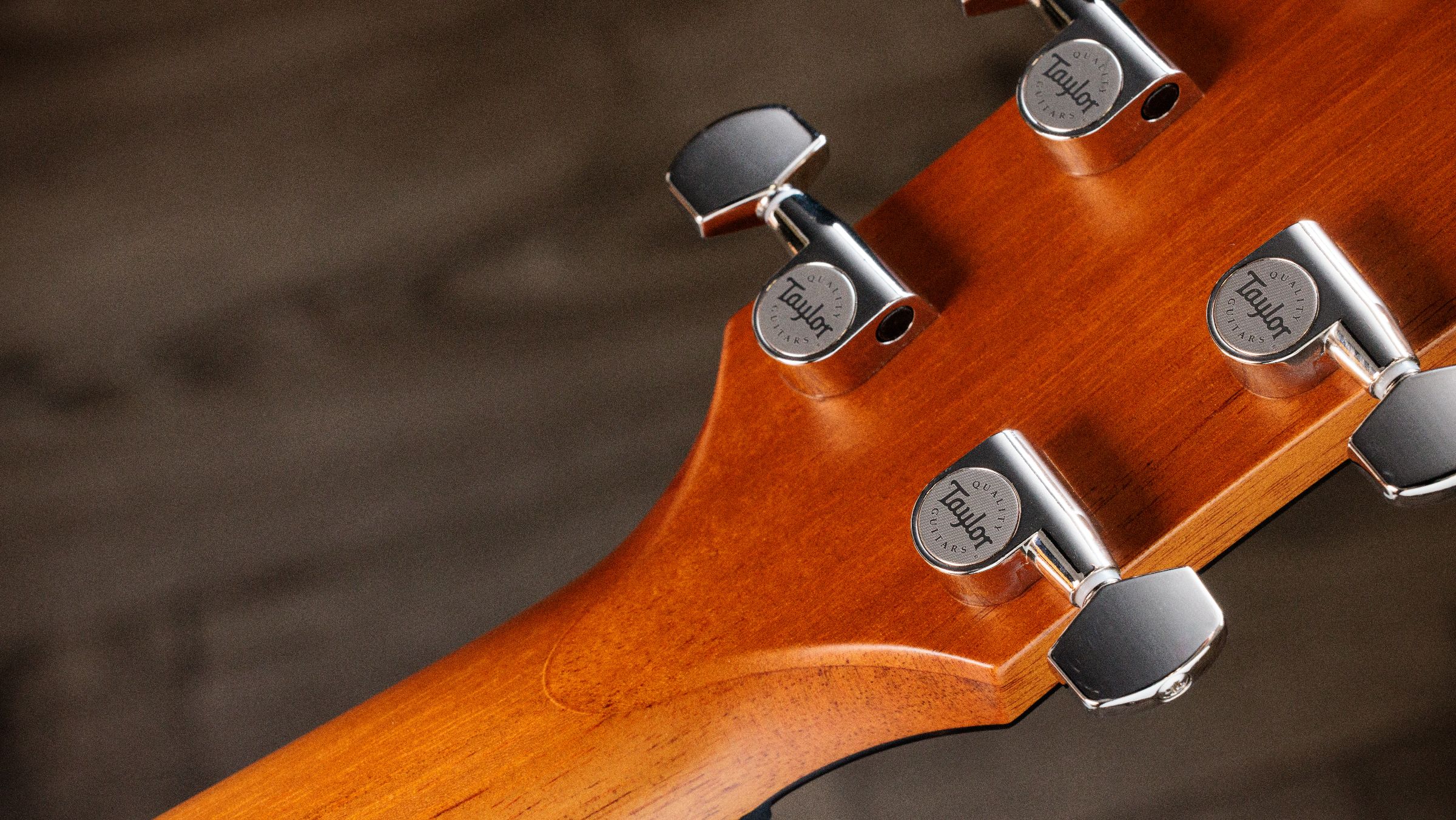 TAYLOR 614ce Next Generation