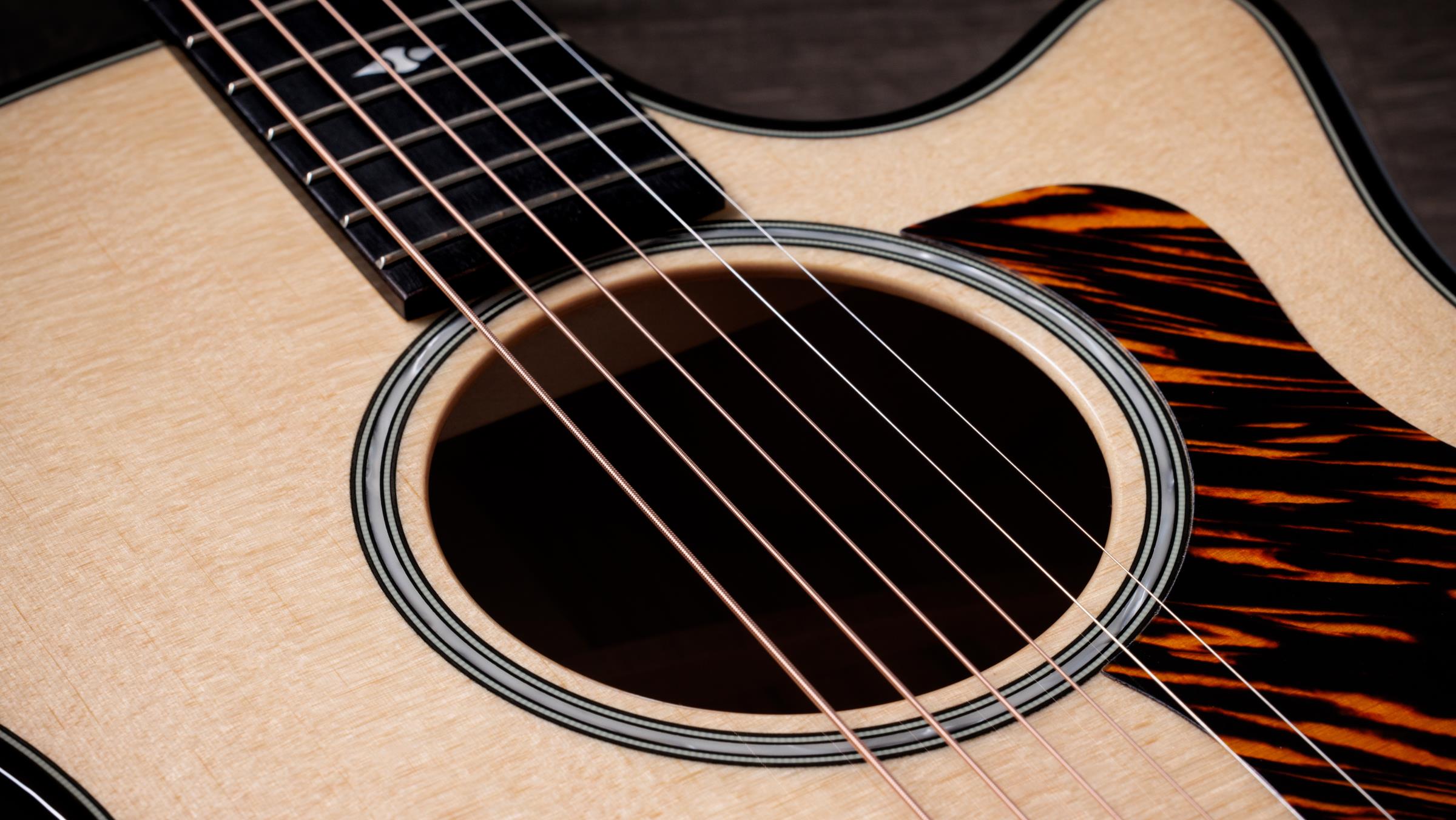 TAYLOR Builder's Edition 514ce,Natural Top TAYLOR Builder's Edition 514ce,Natural Top
