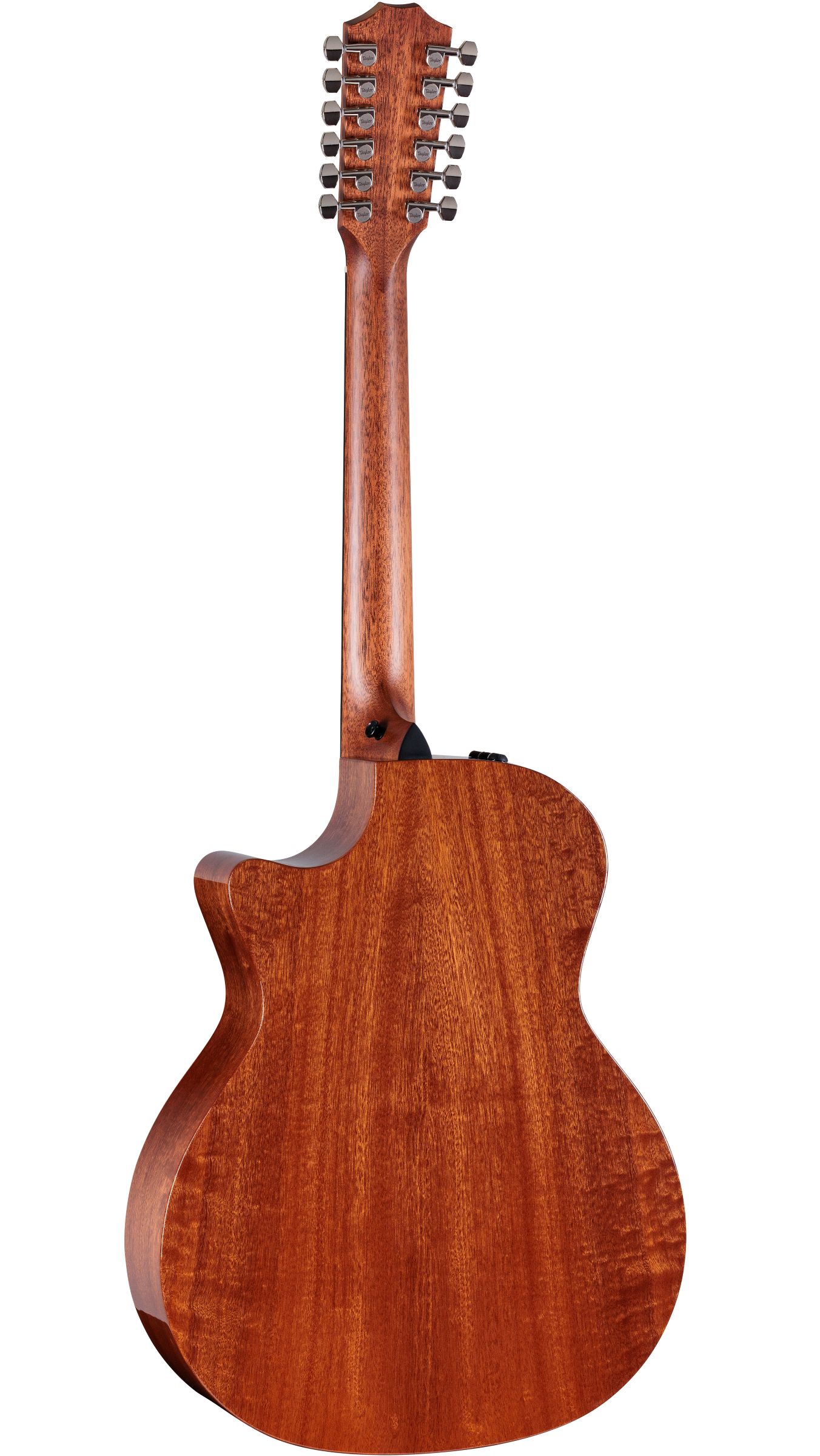 TAYLOR 354ce Studio Special Edition Honeyburst