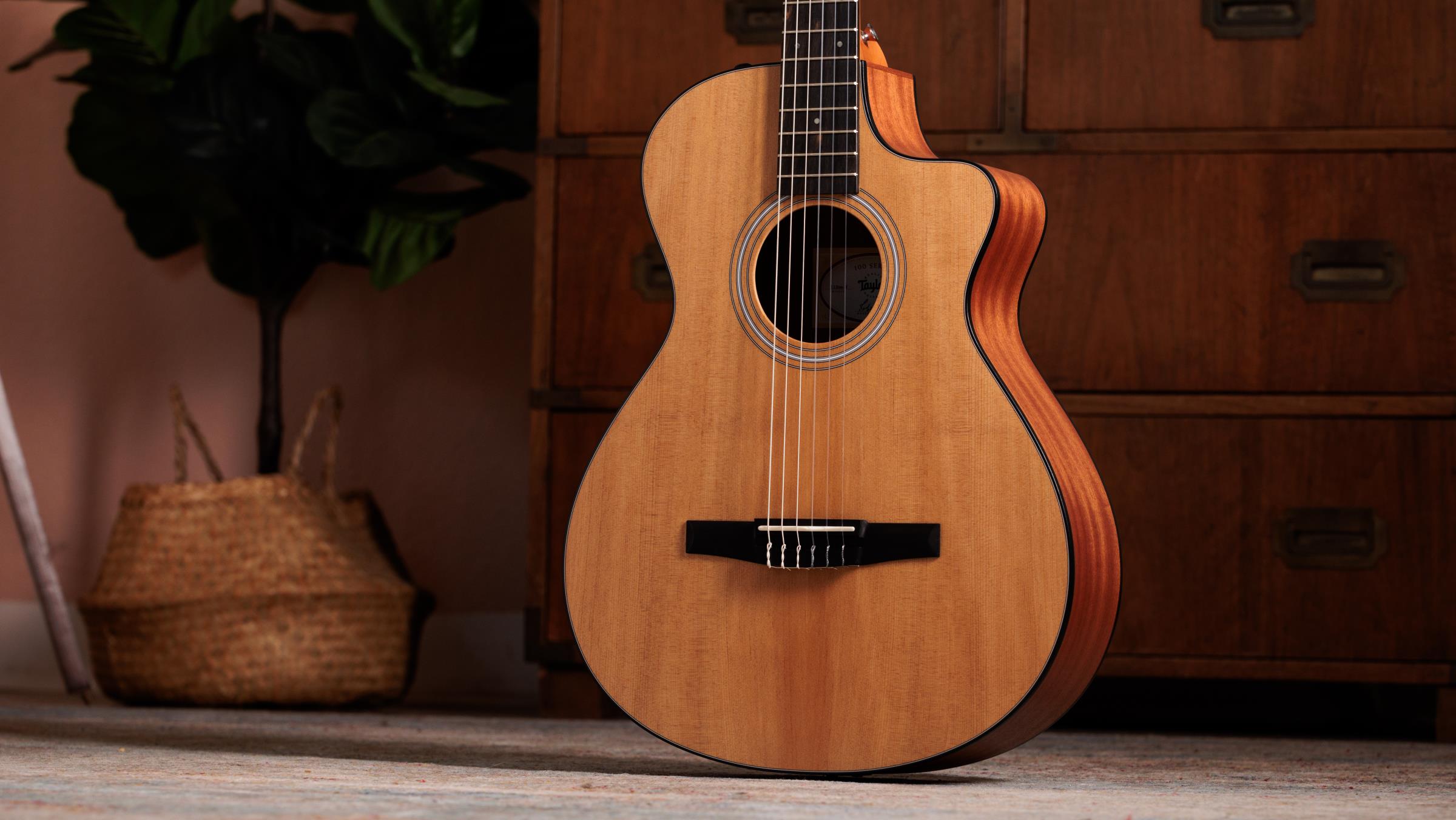 TAYLOR 112ce-N