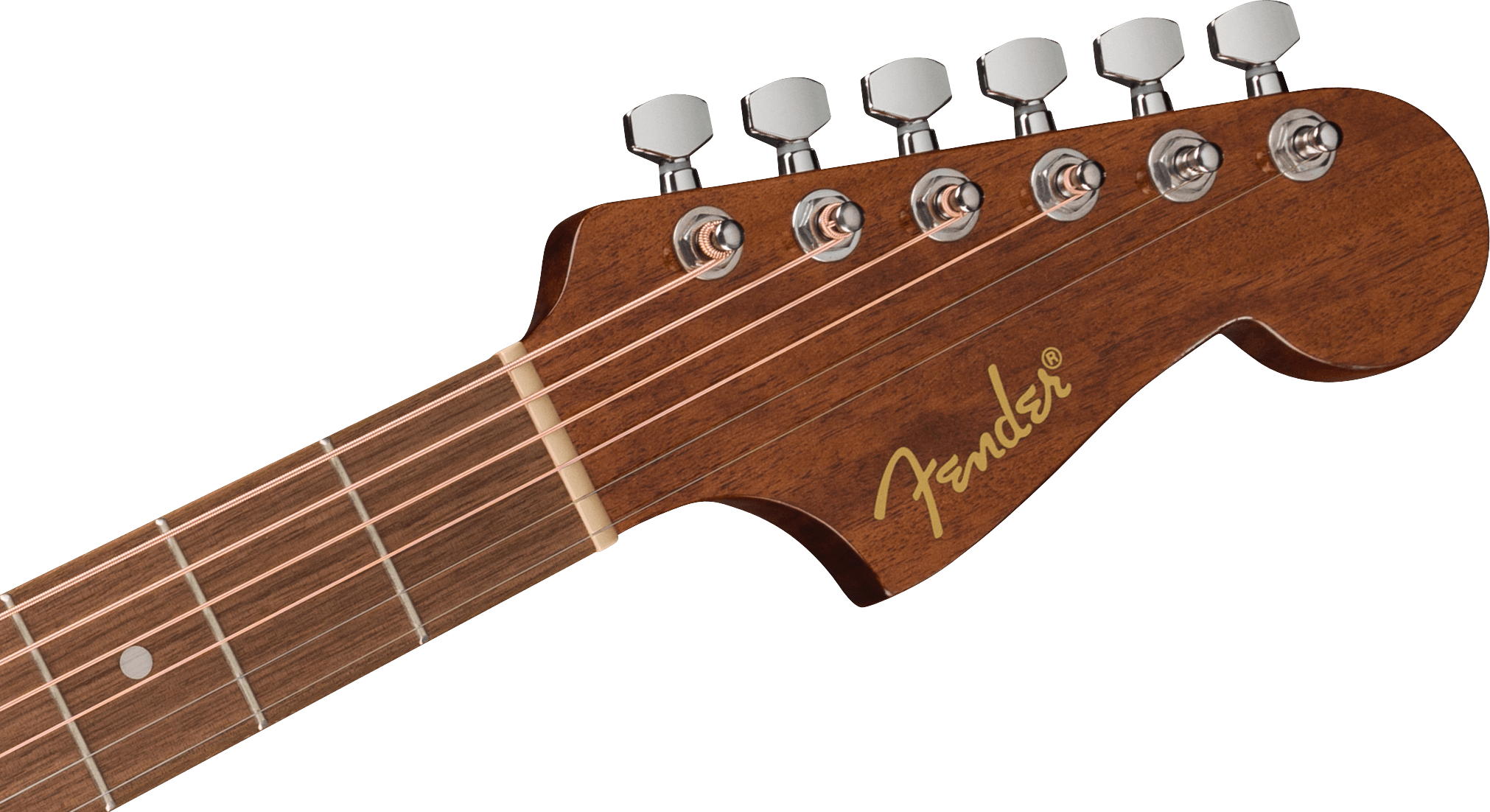 FENDER CA STD REDONDO CE IPG BLK