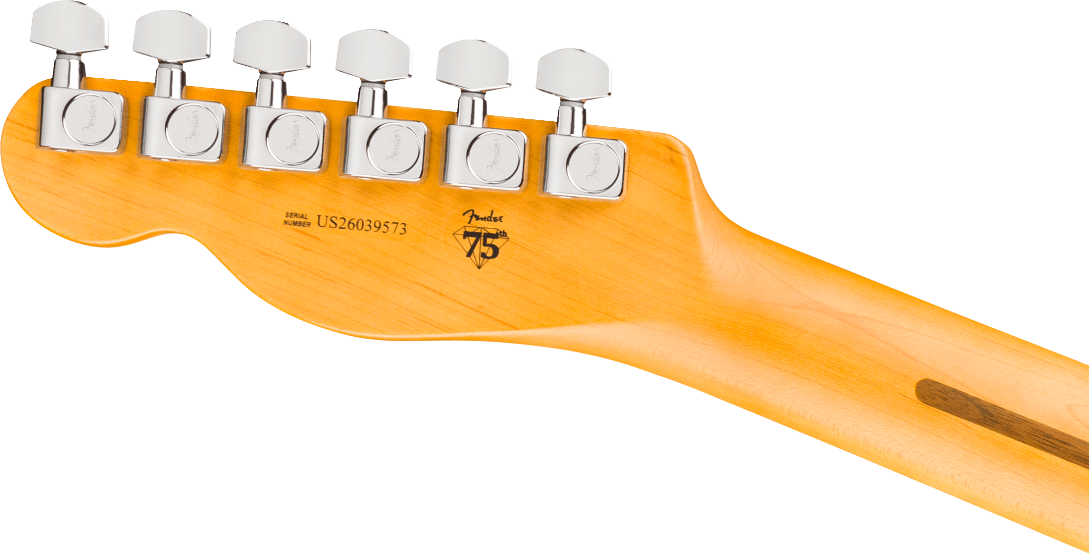 FENDER AM PROF TELE RW NAT X