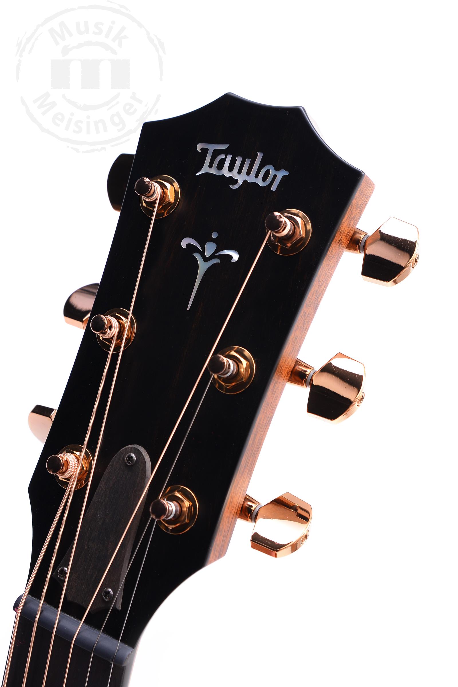 TAYLOR 724ce, Gloss