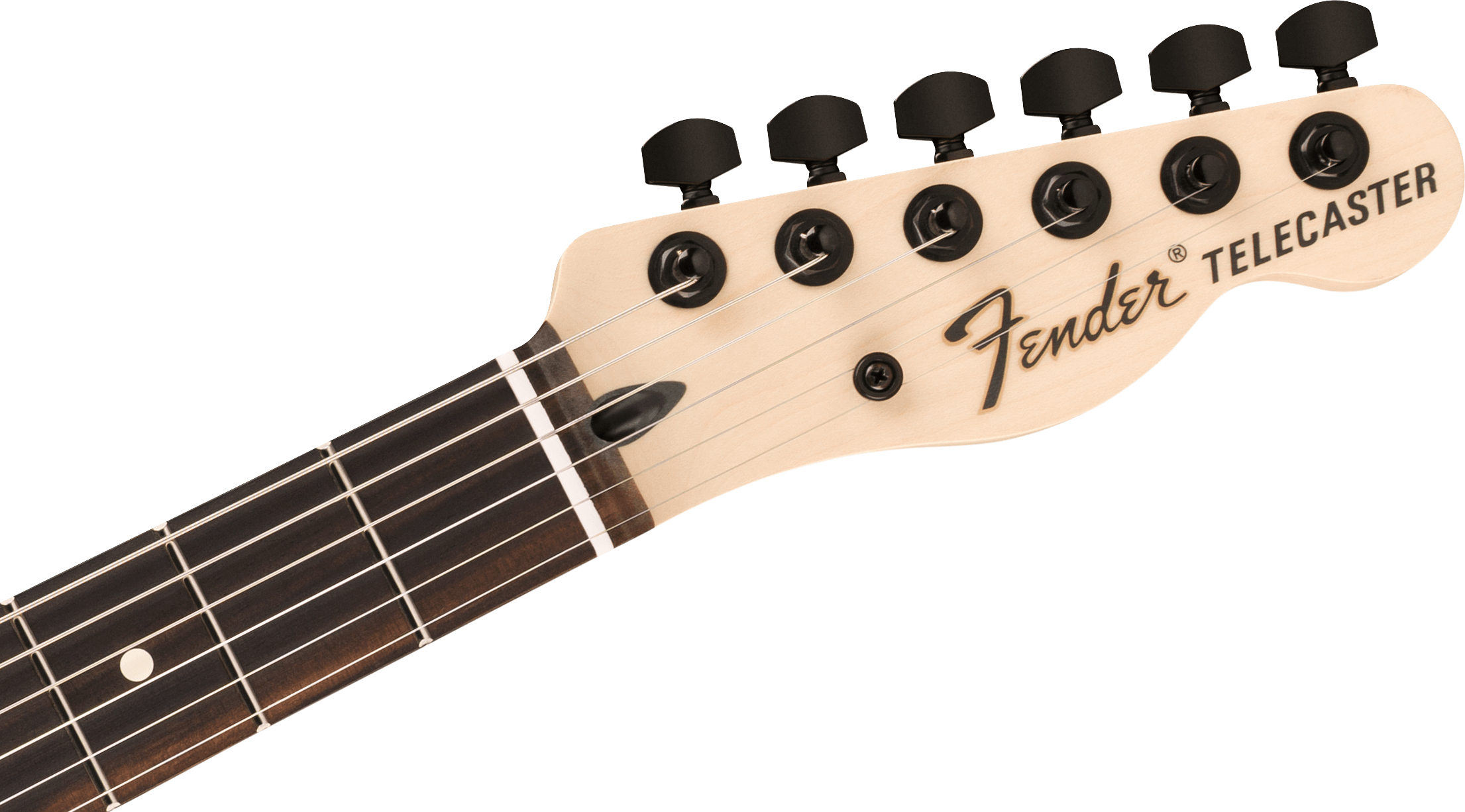 FENDER JIM ROOT TELECASTER EB SHG