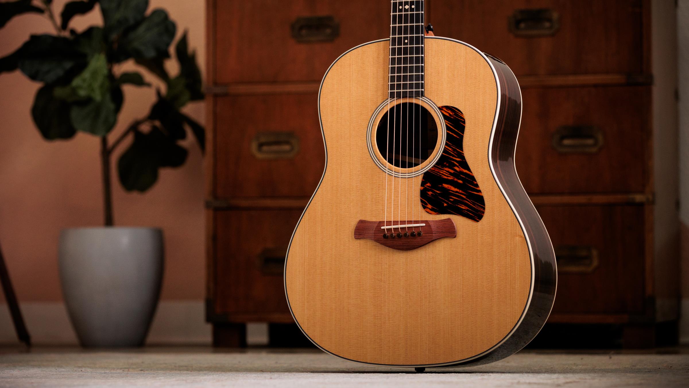 TAYLOR Gold Label 717e TAYLOR Gold Label 717e