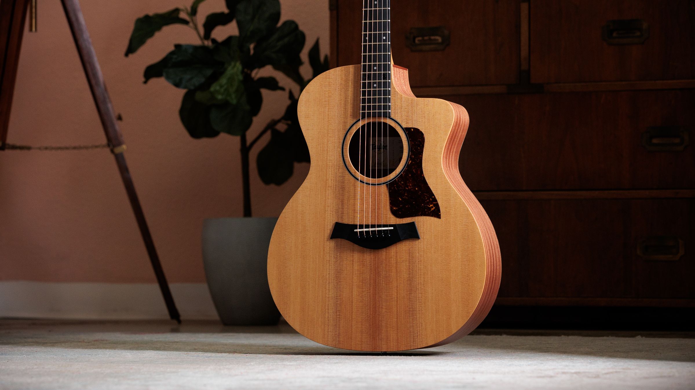 TAYLOR 14ce TAYLOR 14ce