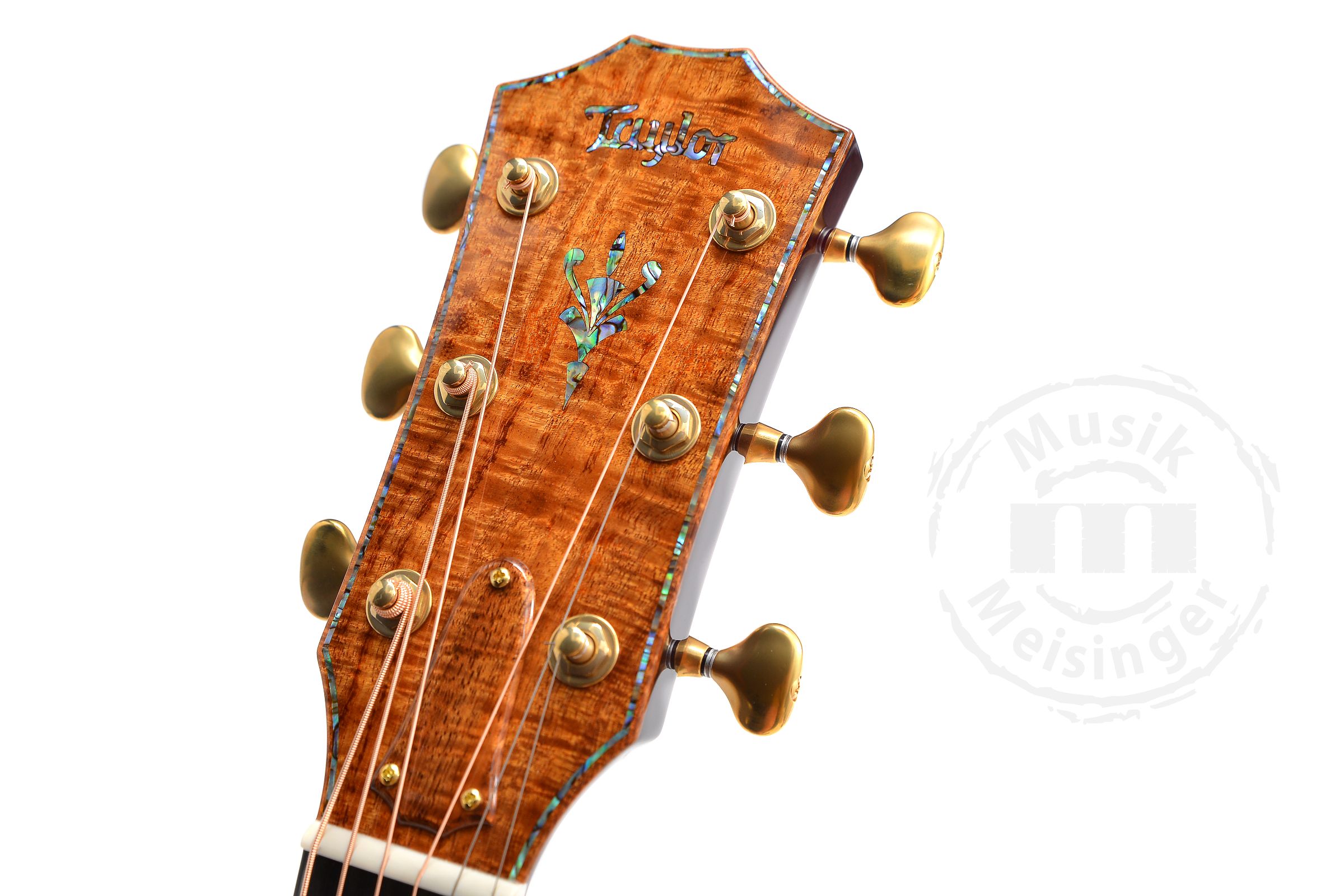 TAYLOR Custom GC 12-Fret,Catch Custom#6