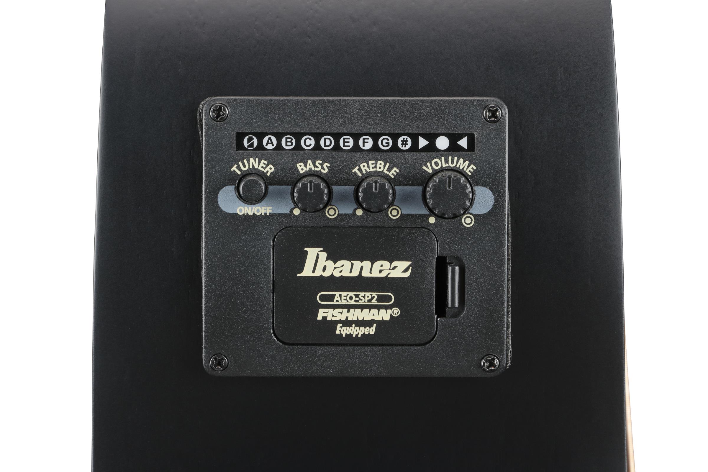 IBANEZ AEG721-BOT