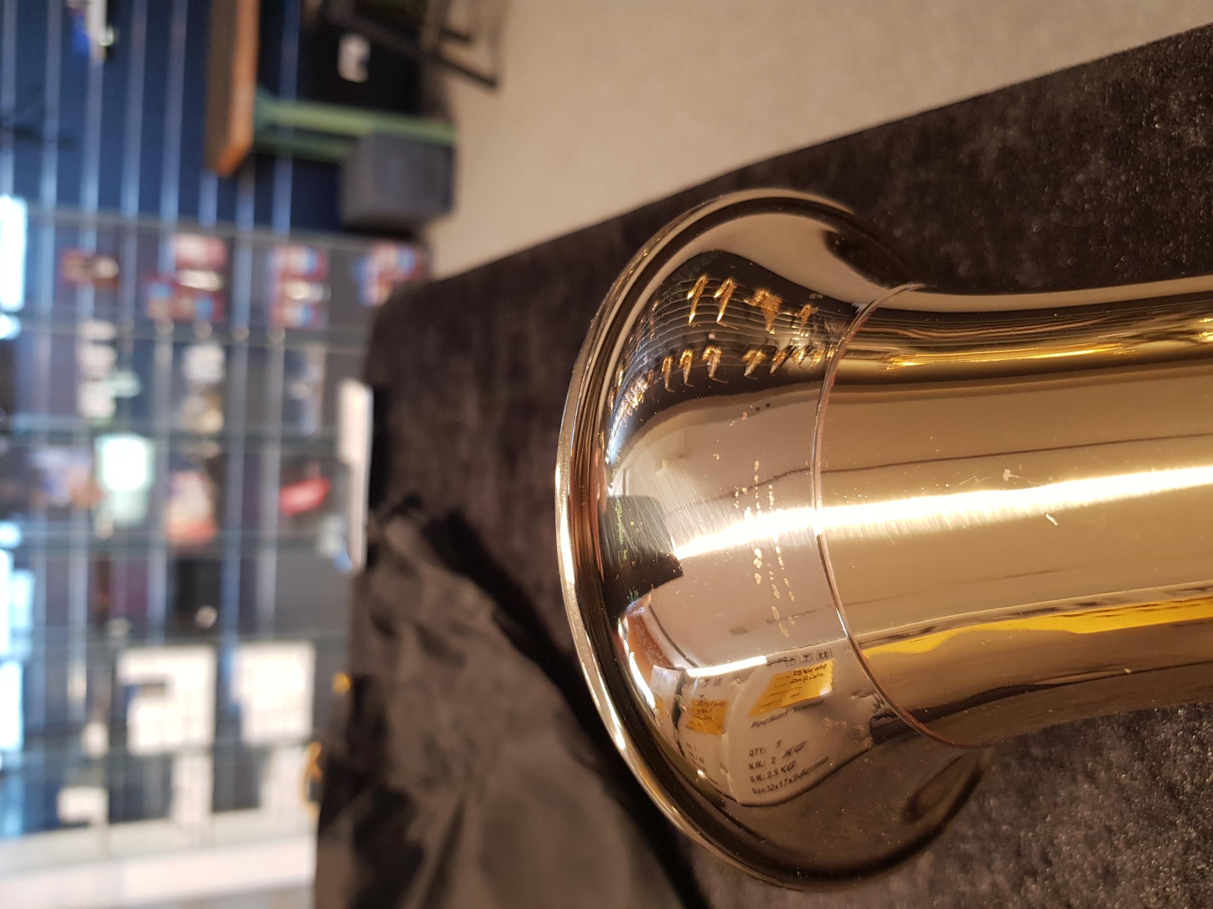 Pure Gewa Roy Benson HH-101  Fürst Pless Horn
