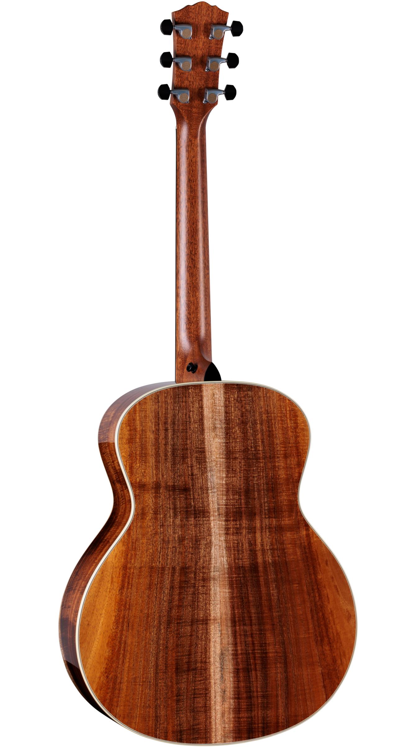 TAYLOR Gold Label 814e Koa TAYLOR Gold Label 814e Koa