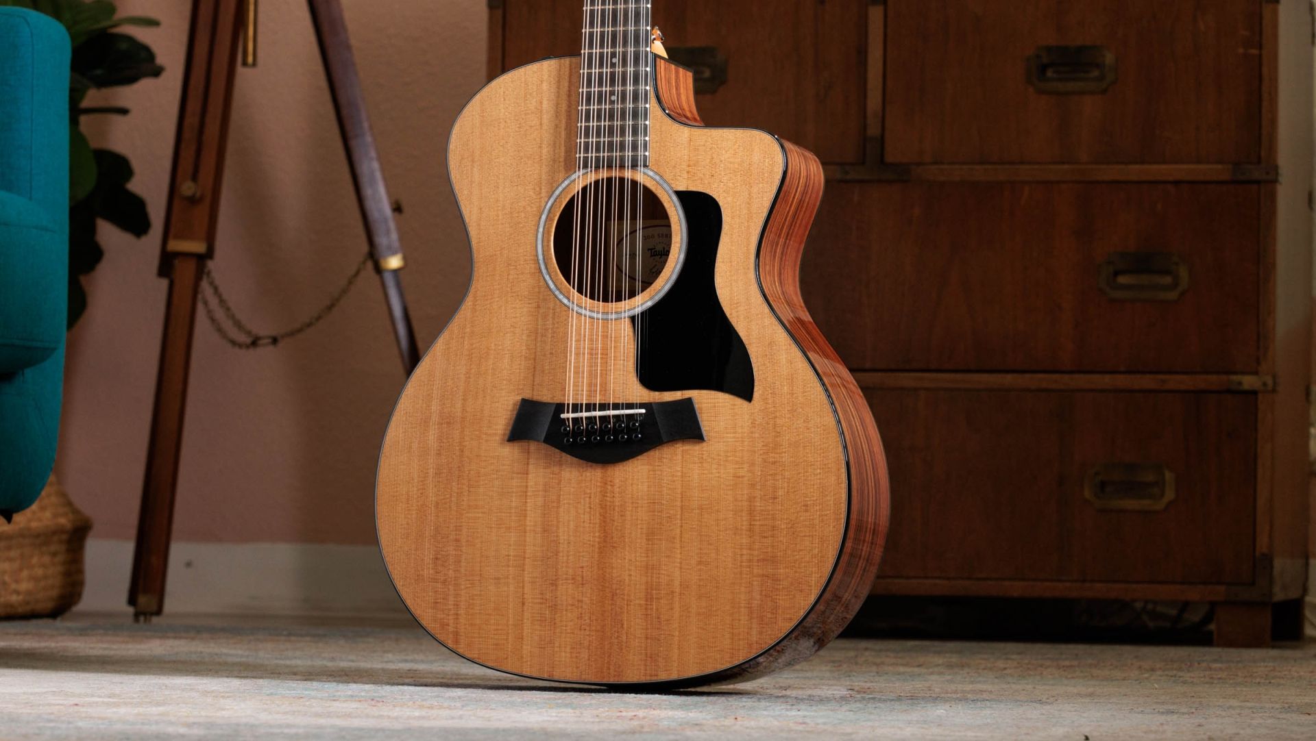 TAYLOR 254ce Plus