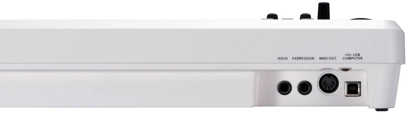 Roland A-49-WH USB Masterkeyboard (Retoure)