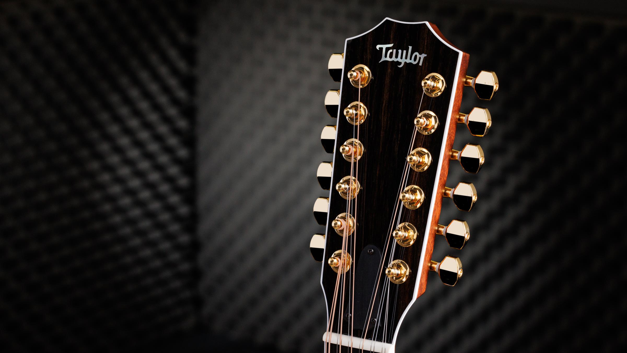 TAYLOR 858e LTD, 50th Anniversary