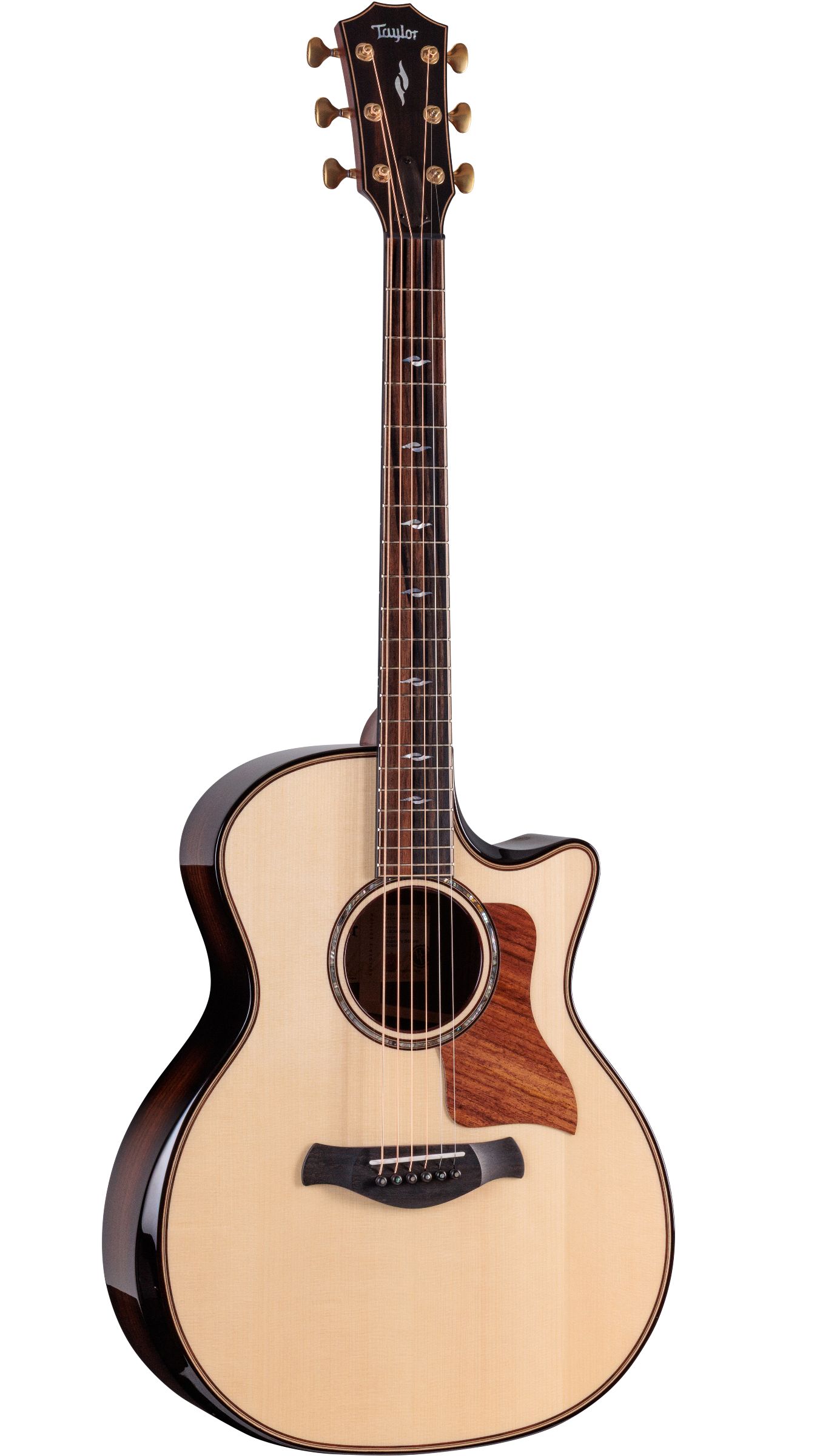 TAYLOR Builder's Edition 814ce,RW/Adirondack,2026