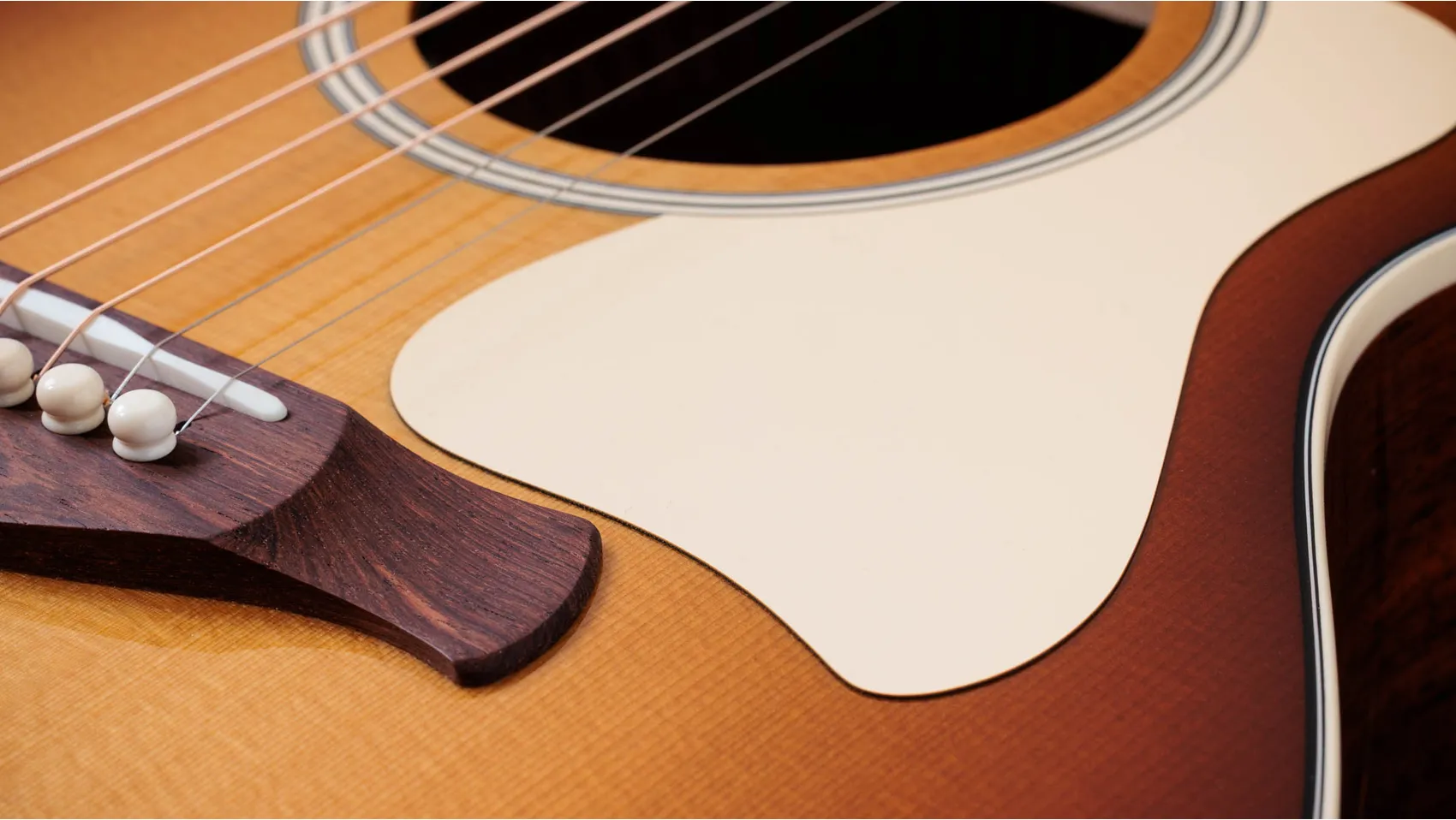 TAYLOR Ben Harper Gold Label 512e