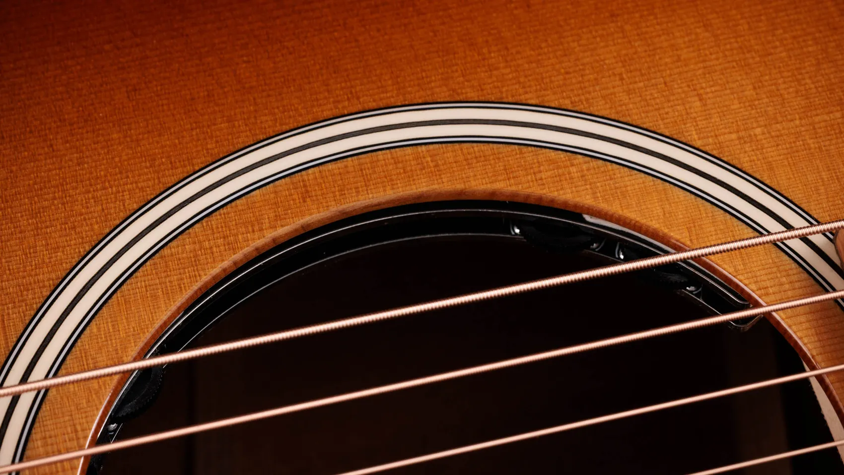 TAYLOR Ben Harper Gold Label 512e