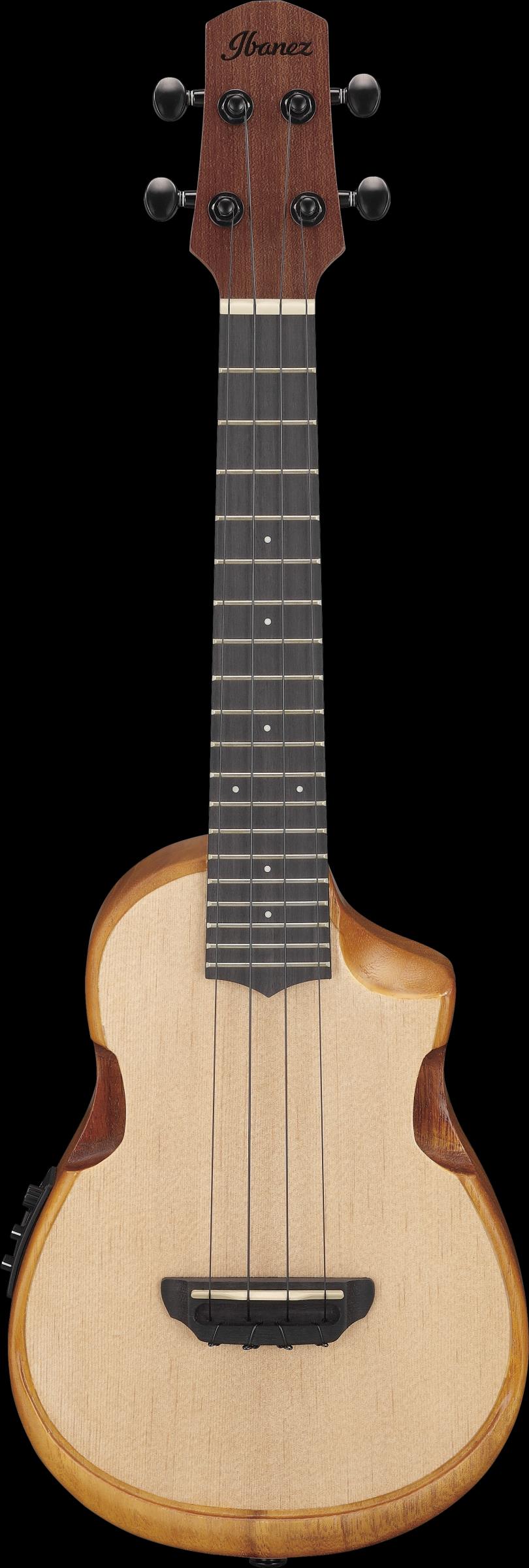 IBANEZ AUC10E-OPN