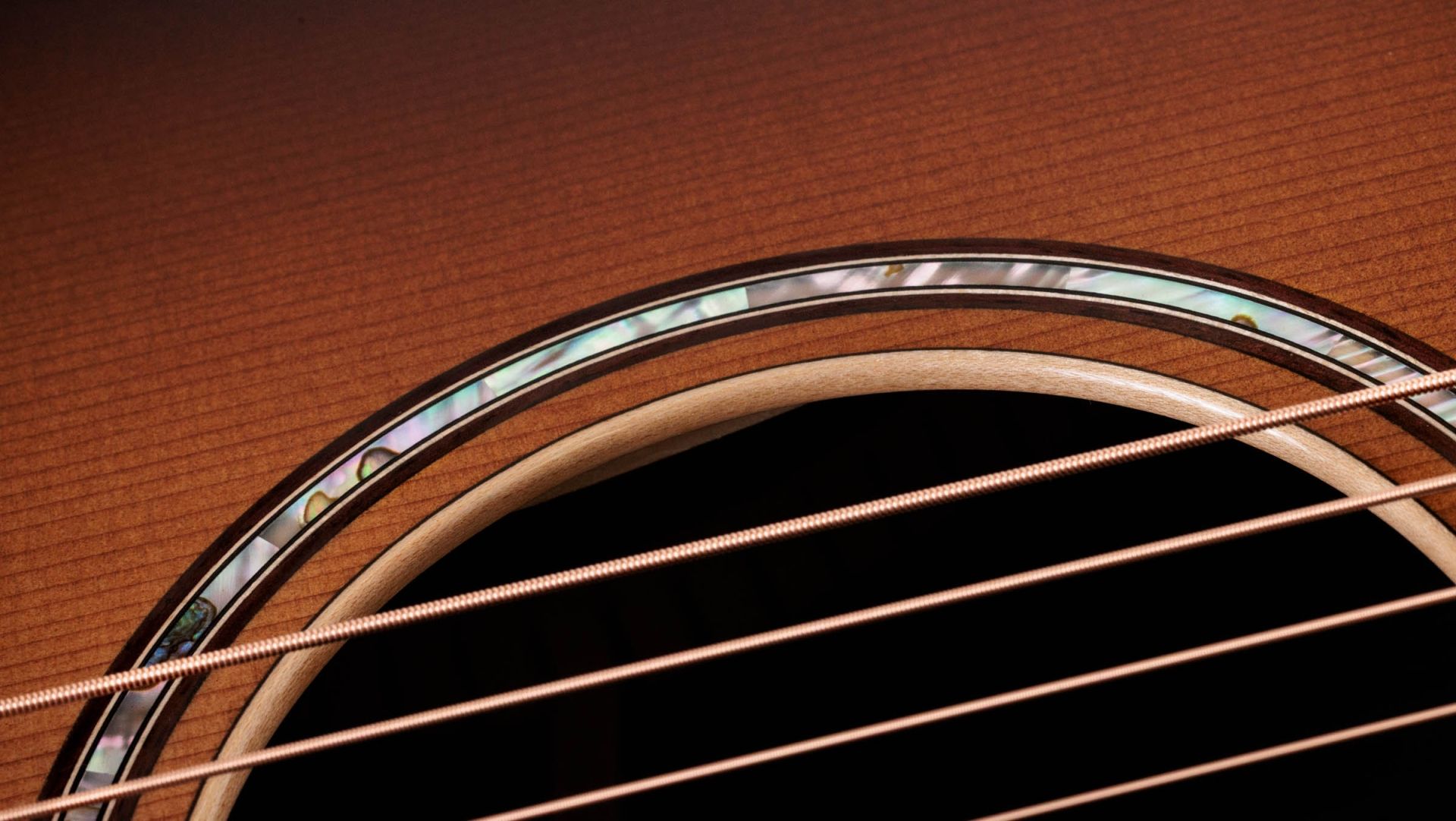 TAYLOR 814ce Special Edition SEB Top, Sedona TAYLOR 814ce Special Edition SEB Top, Sedona