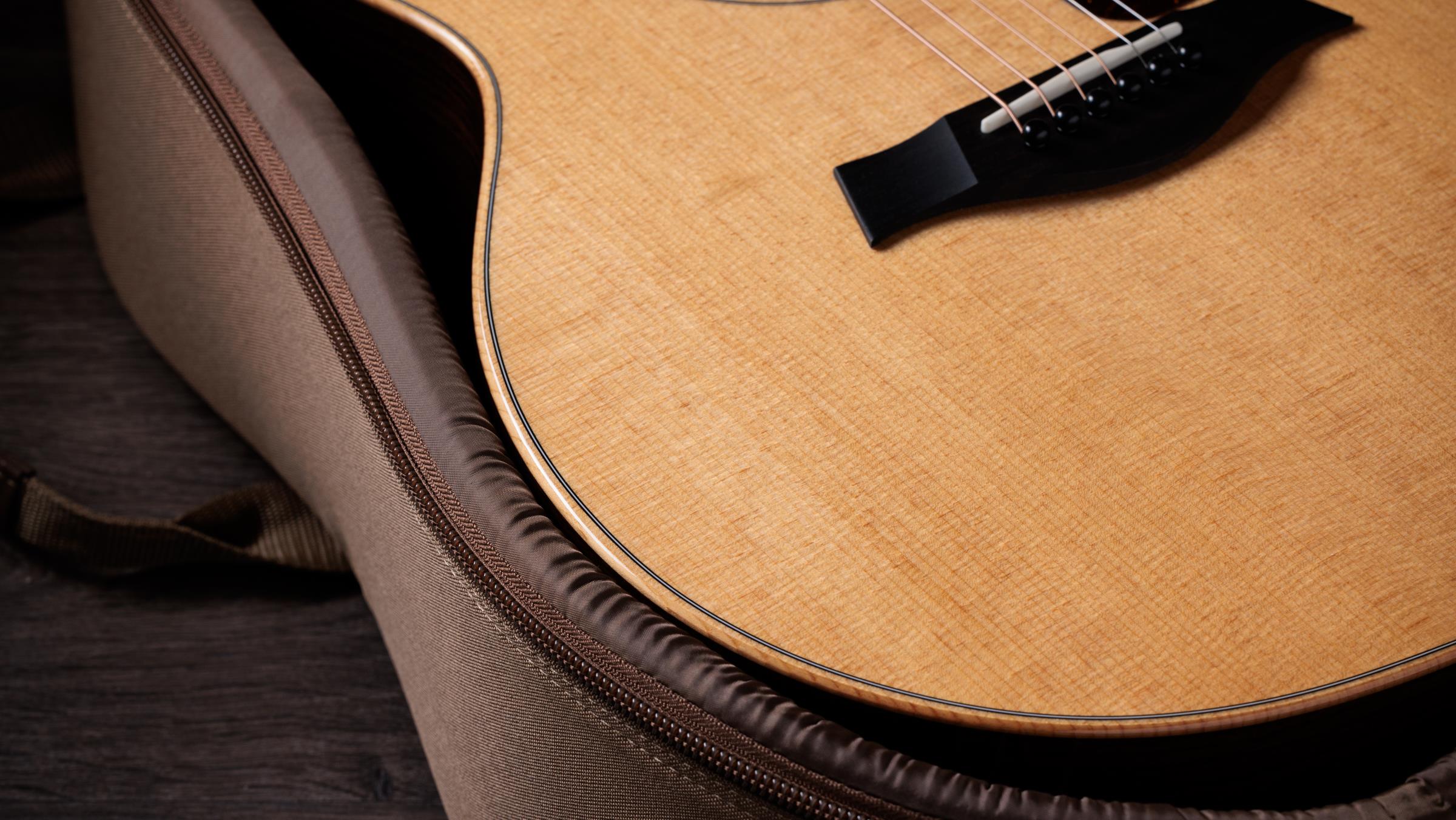 TAYLOR 414ce Studio Natural