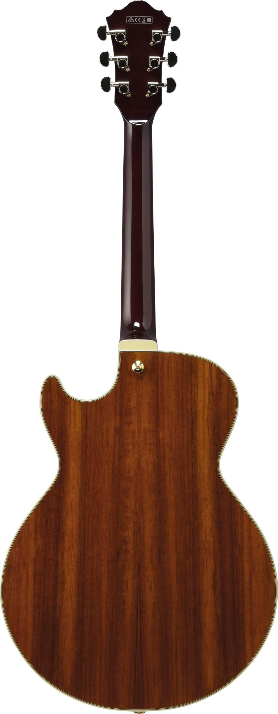 IBANEZ AG95K-NT IBANEZ AG95K-NT