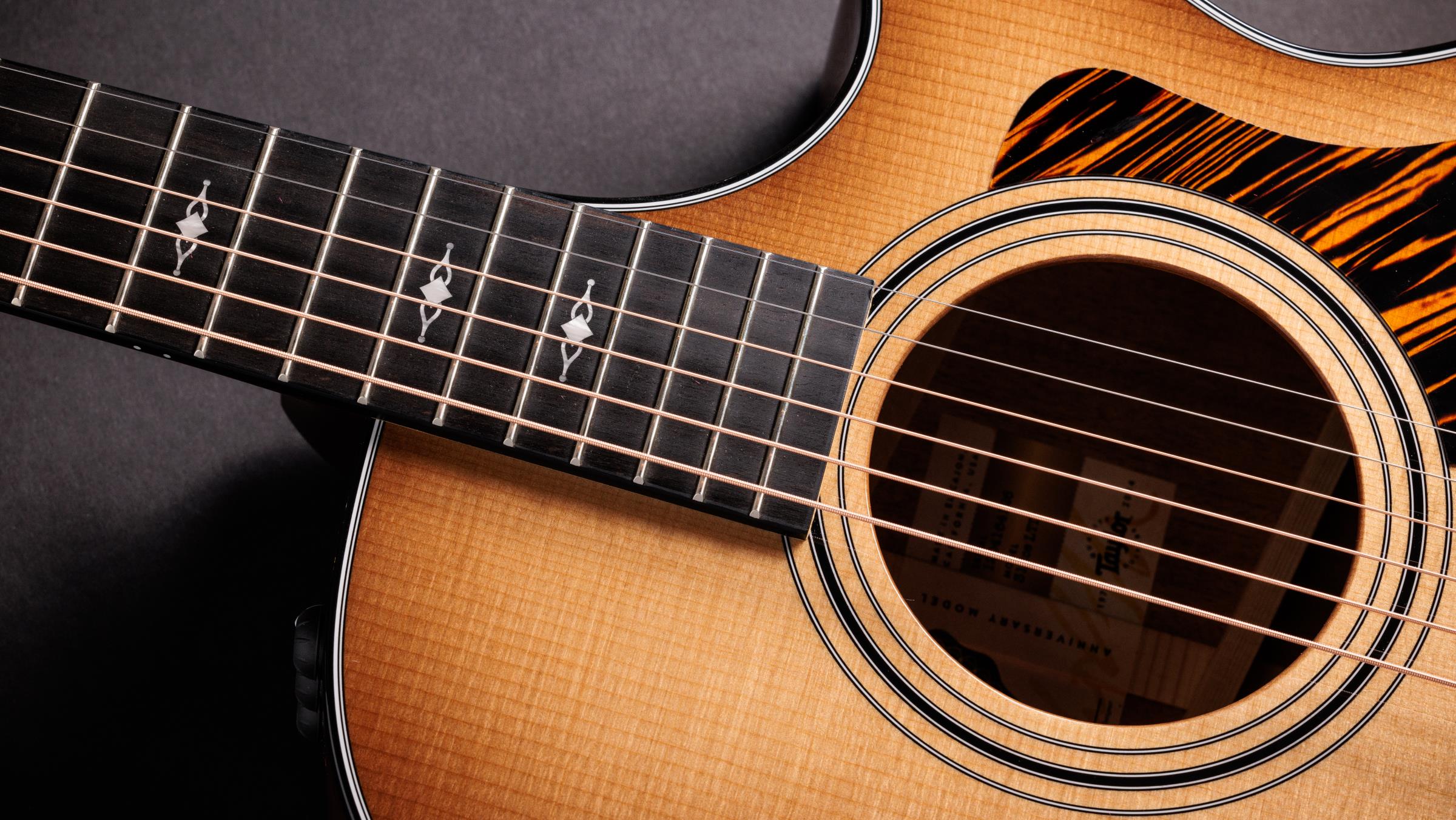 TAYLOR 312ce, 50th Anniversary